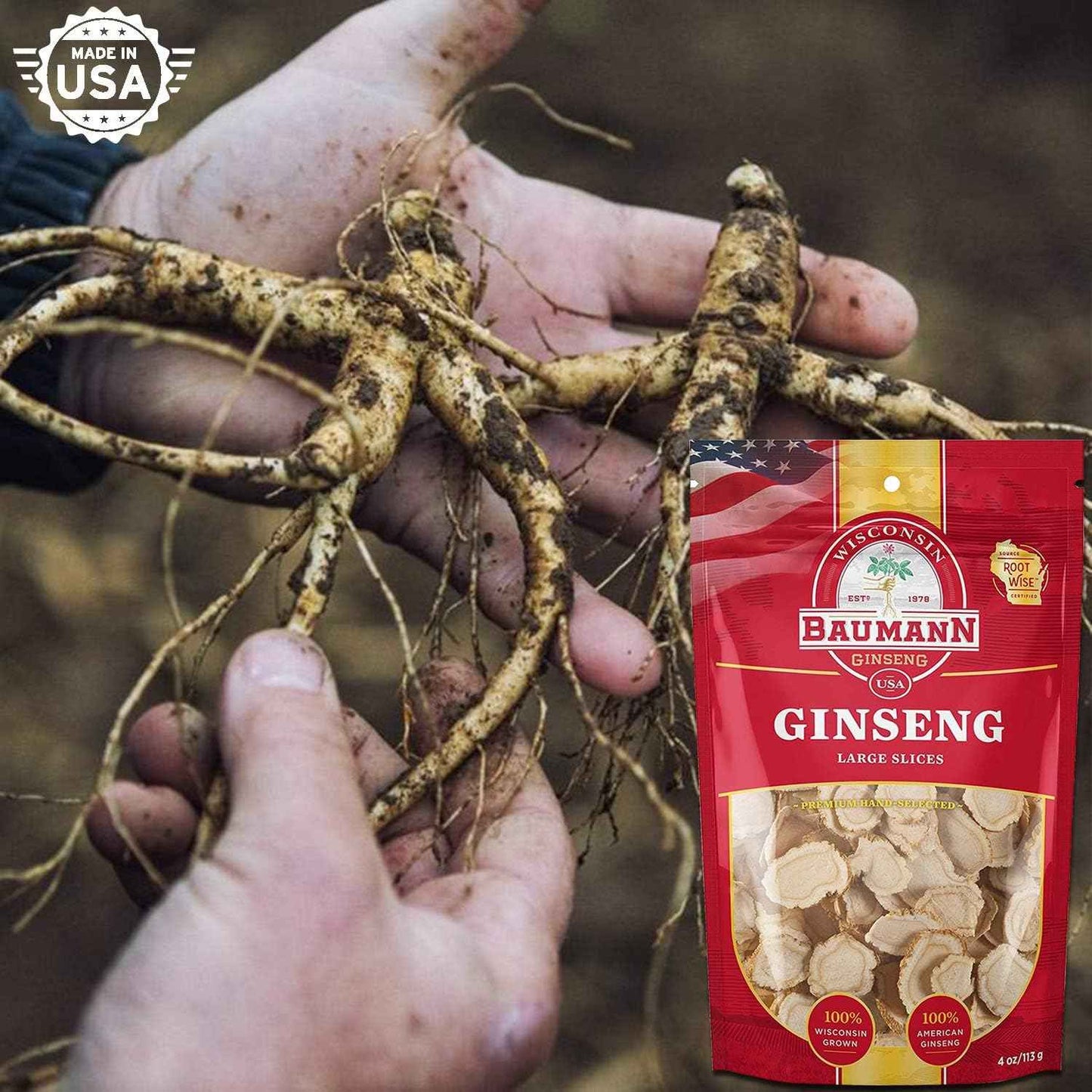 Baumann Wisconsin Ginseng - Large Slices 4 oz - 100% Natural Panax Ginseng Herb, Pure Dried American Ginseng for Immune Support, Enhanced Focus and Energy
