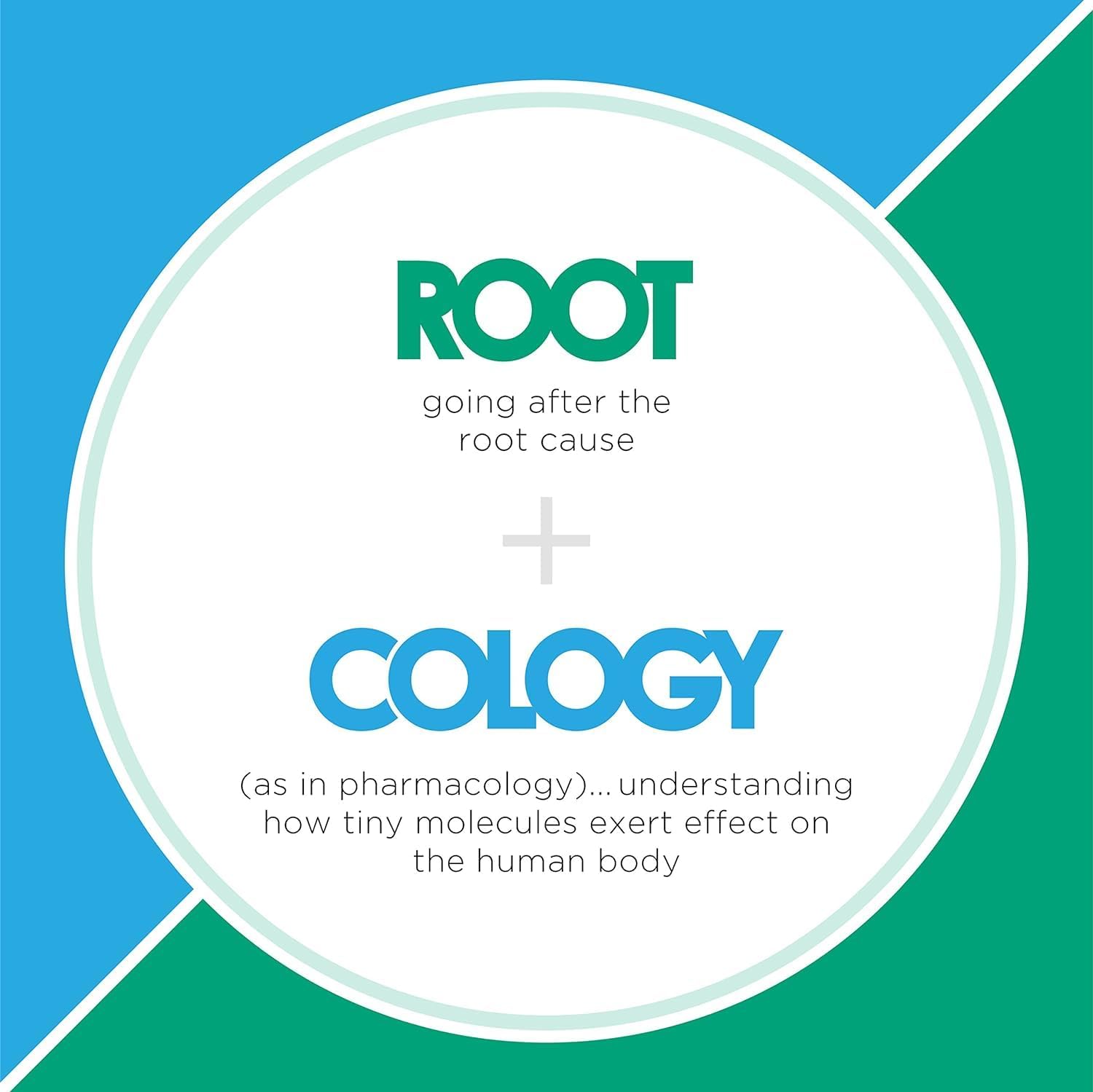 Berberine Softgels by Rootcology Dr. Izabella Wentz | Plant-Derived Cardiovascular Support | All-Natural Formulation | 60 Softgels