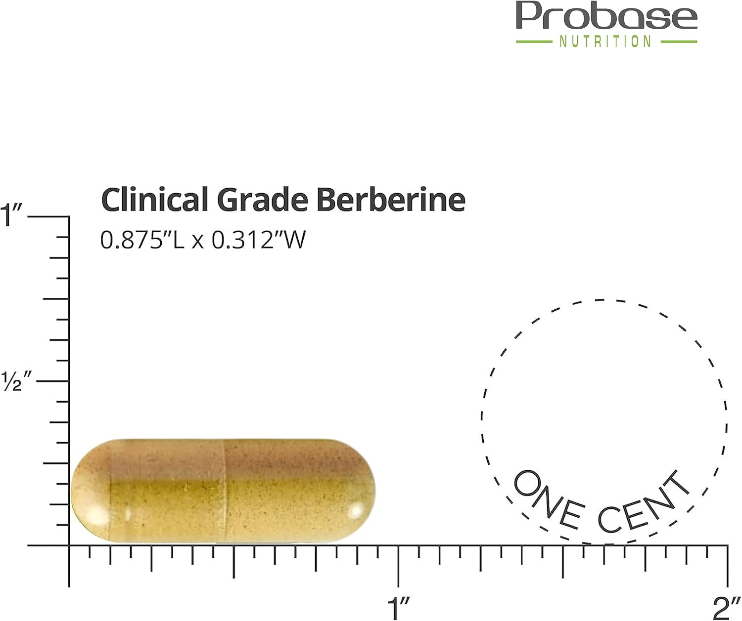 Berberine with Cinnamon Extract Capsules - Gluten Free, Vegan, 1200mg per Serving