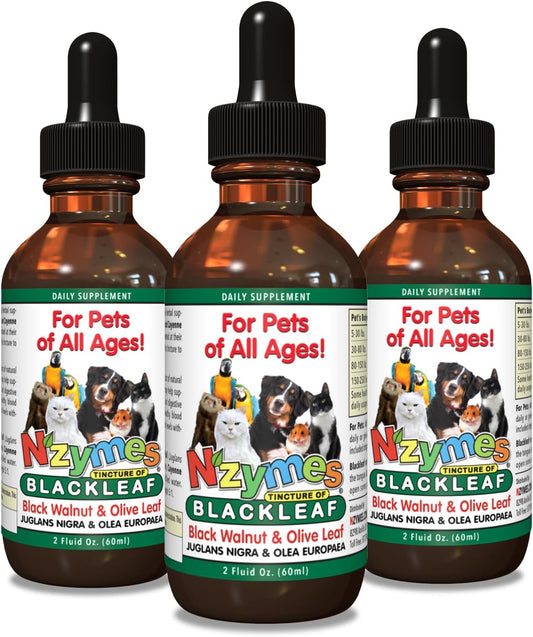 BlackLeaf Tincture for Pets - Nzymes - 3 Pack - Natural Pet Supplement for Overall Wellness
