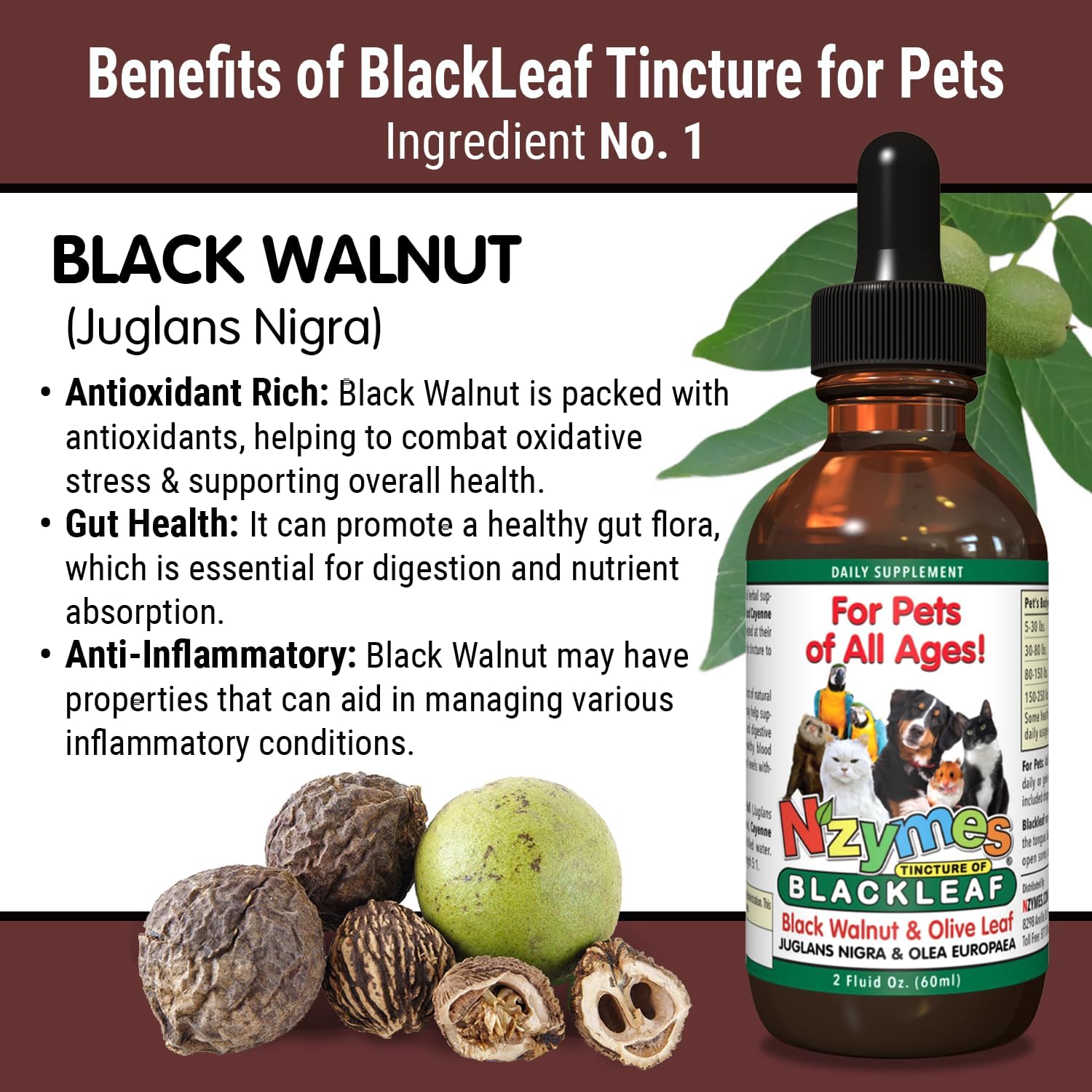 BlackLeaf Tincture for Pets - Nzymes - 3 Pack - Natural Pet Supplement for Overall Wellness