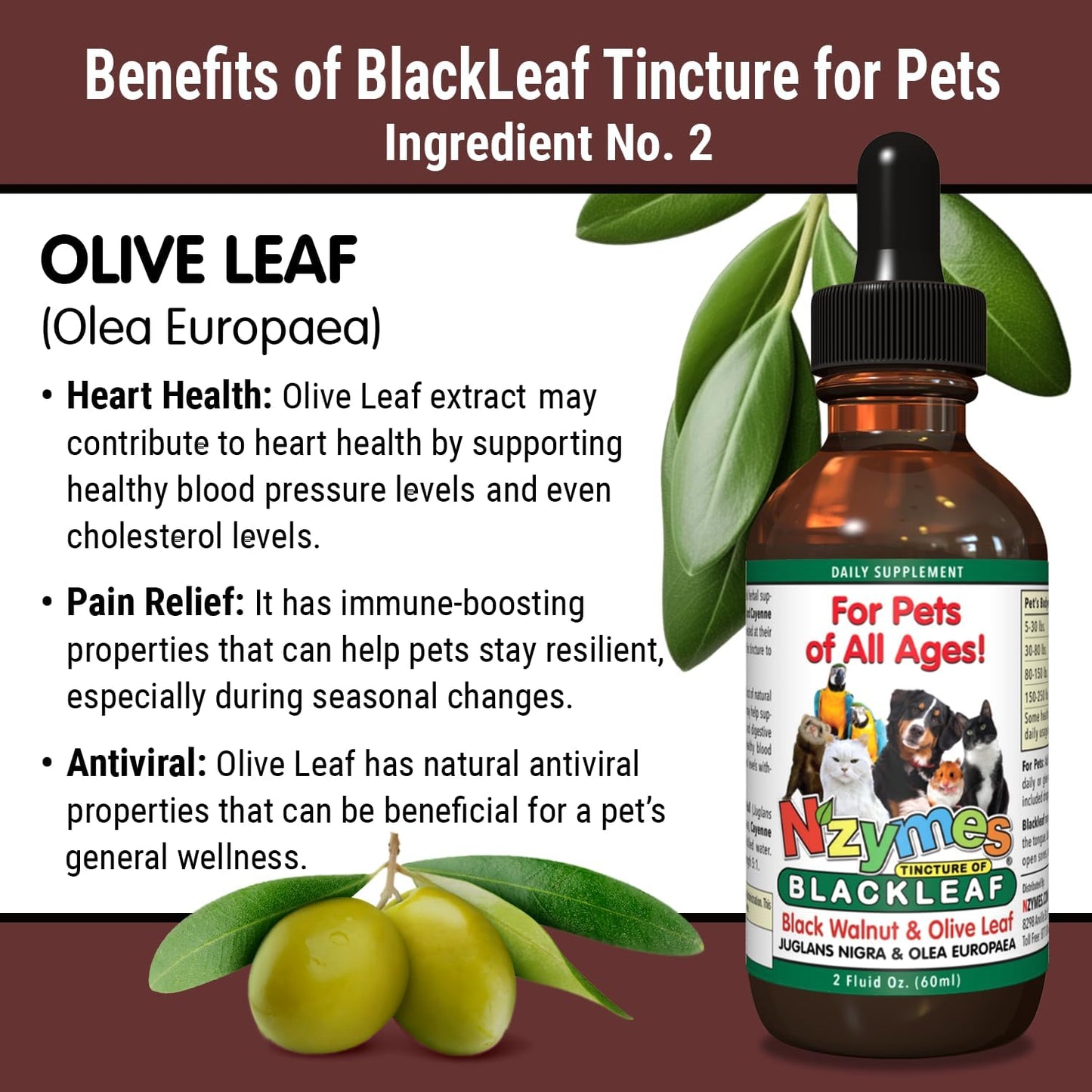 BlackLeaf Tincture for Pets - Nzymes - 3 Pack - Natural Pet Supplement for Overall Wellness