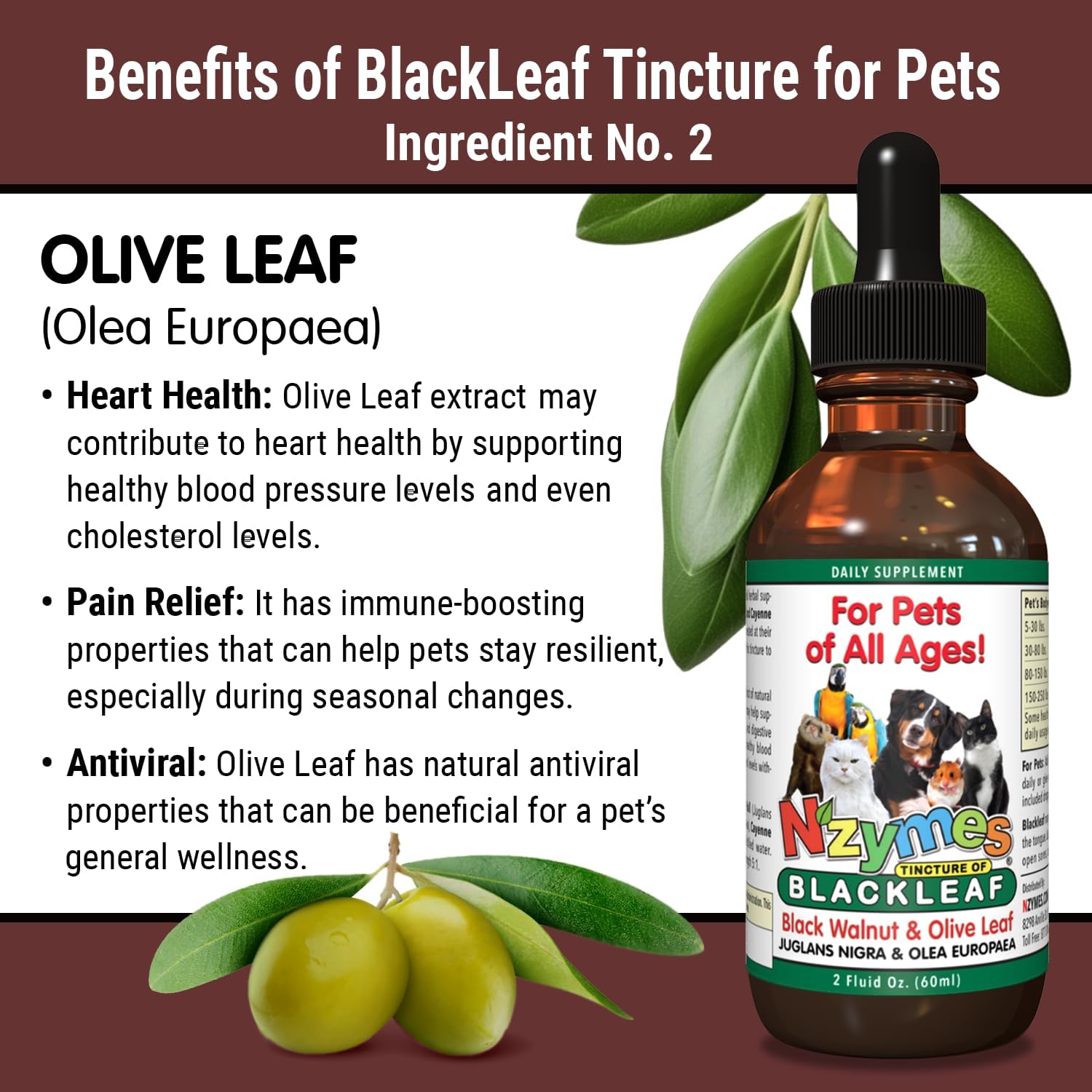 BlackLeaf Tincture for Pets - Nzymes - 3 Pack - Natural Pet Supplement for Overall Wellness
