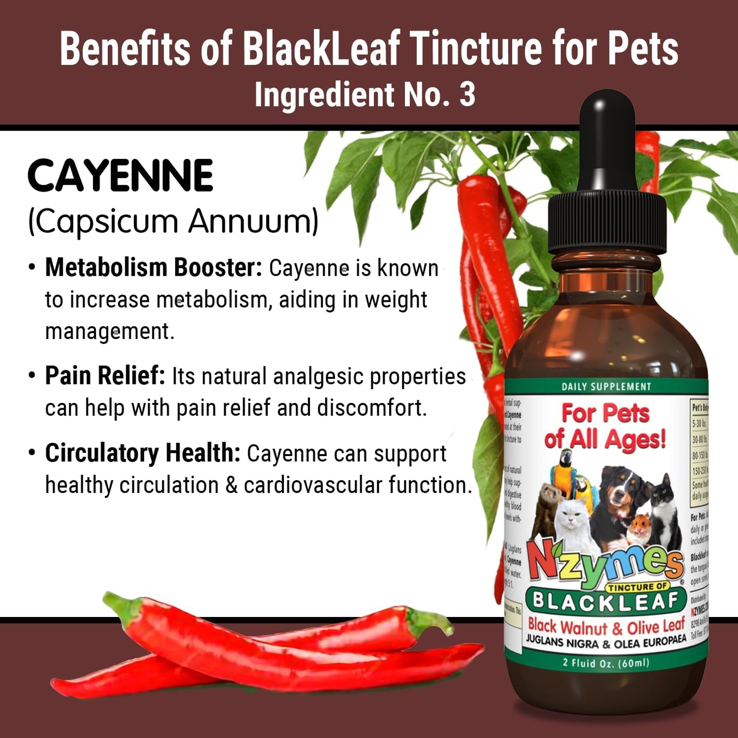 BlackLeaf Tincture for Pets - Nzymes - 3 Pack - Natural Pet Supplement for Overall Wellness