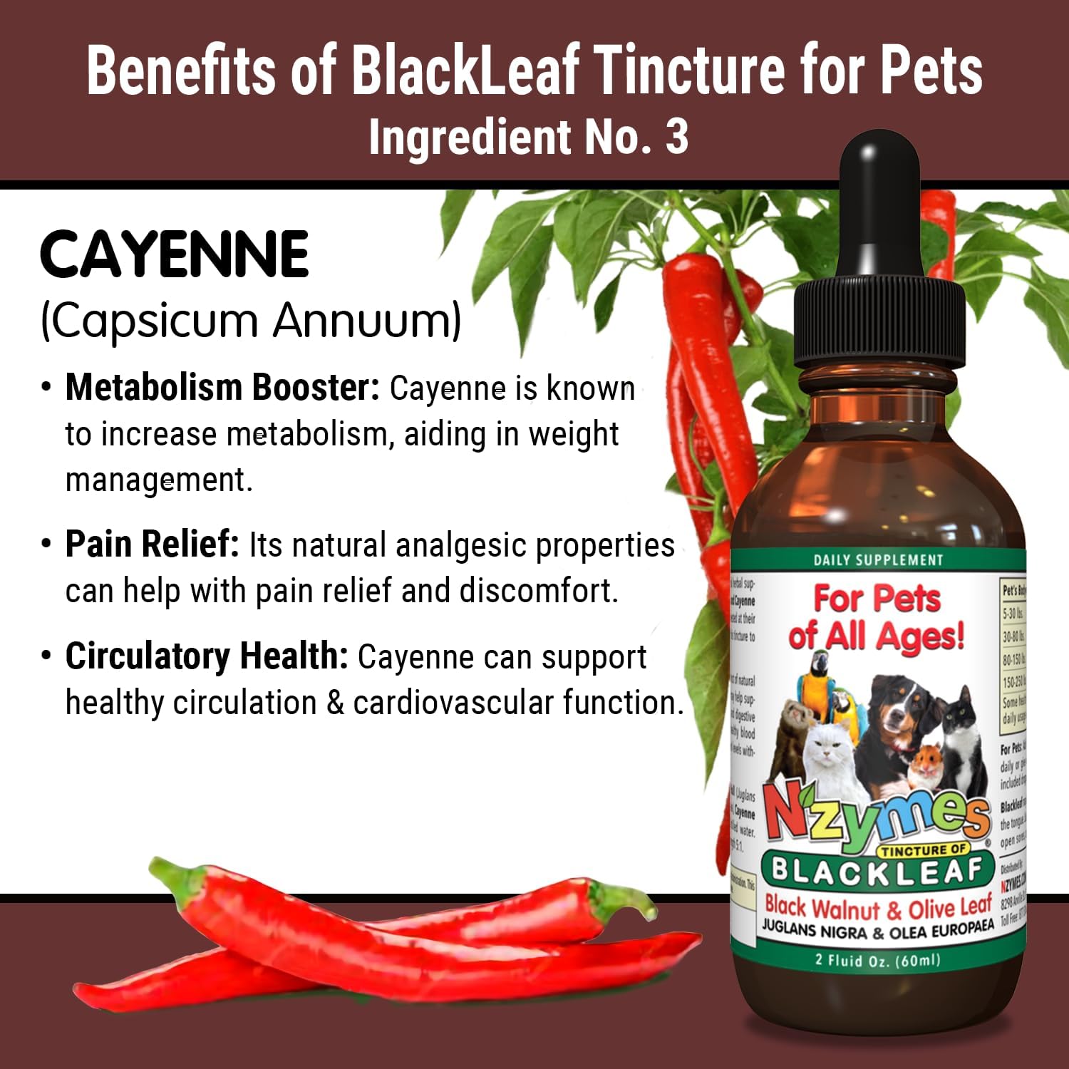 BlackLeaf Tincture for Pets - Nzymes - 3 Pack - Natural Pet Supplement for Overall Wellness