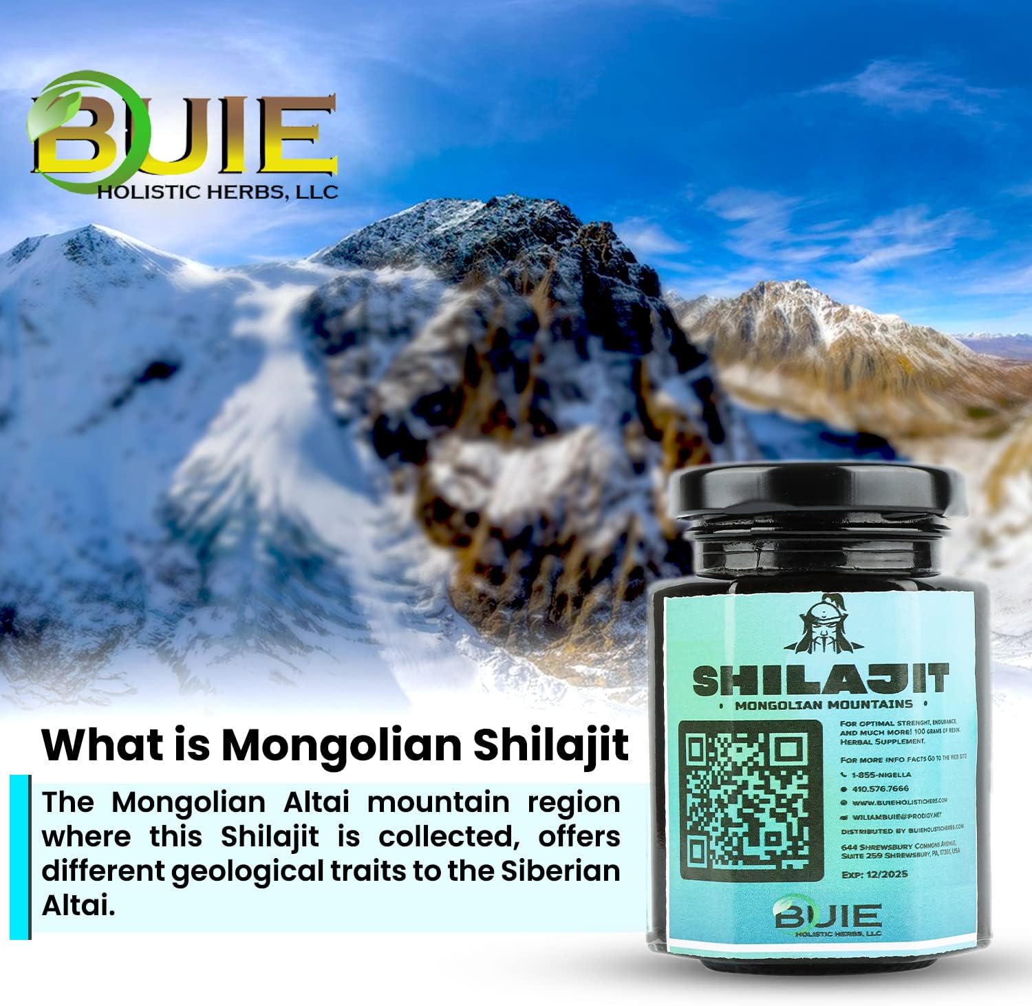 Buie Authentic Mongolian Shilajit Resin: Pure Source of Fulvic Humic Blend | Ayurvedic Rejuvenation Herbal Supplement | 100 GMS