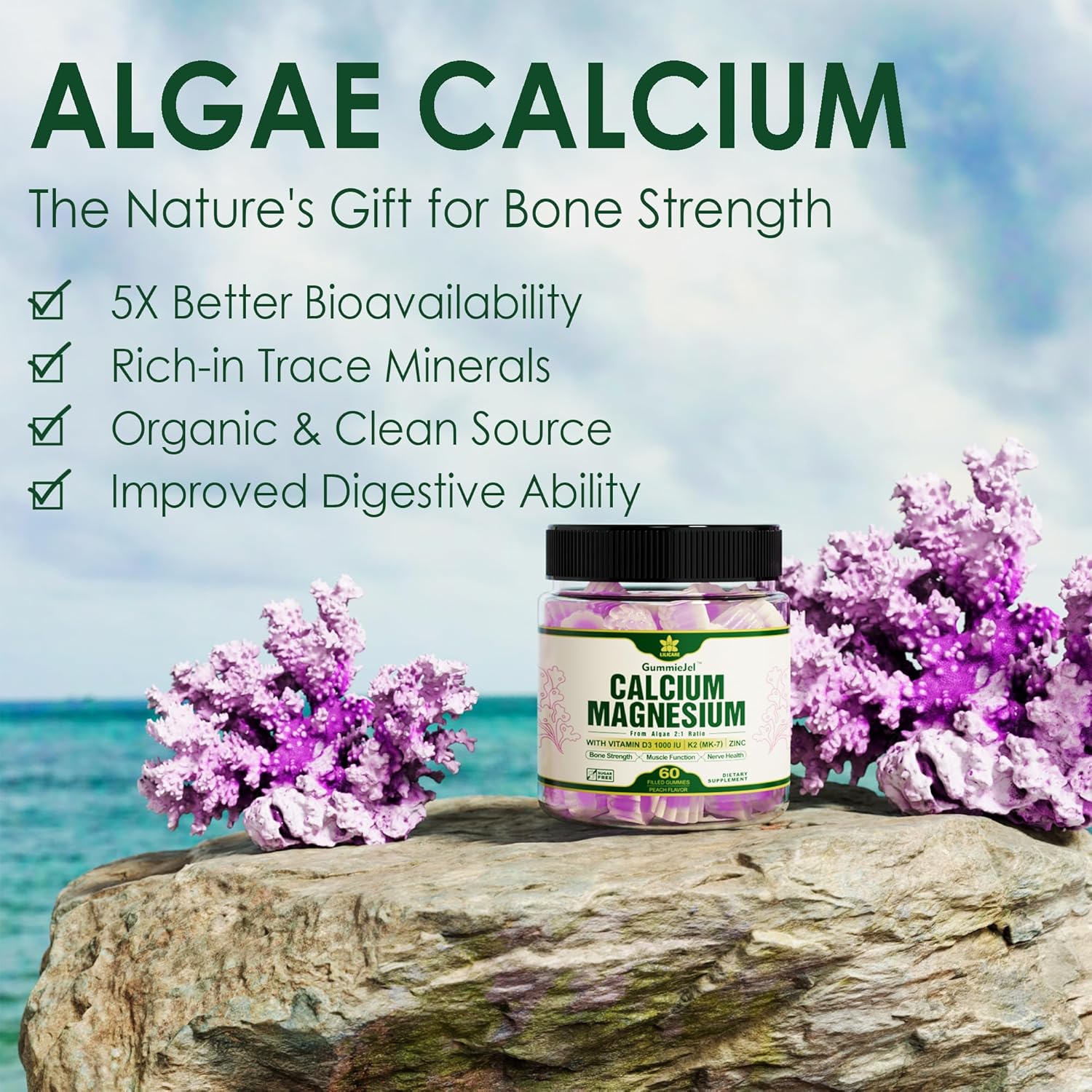 Bundle: 2 Packs of LILICARE Sugar Free Zinc Gummies + 1 Pack Plant Based Calcium Supplement
