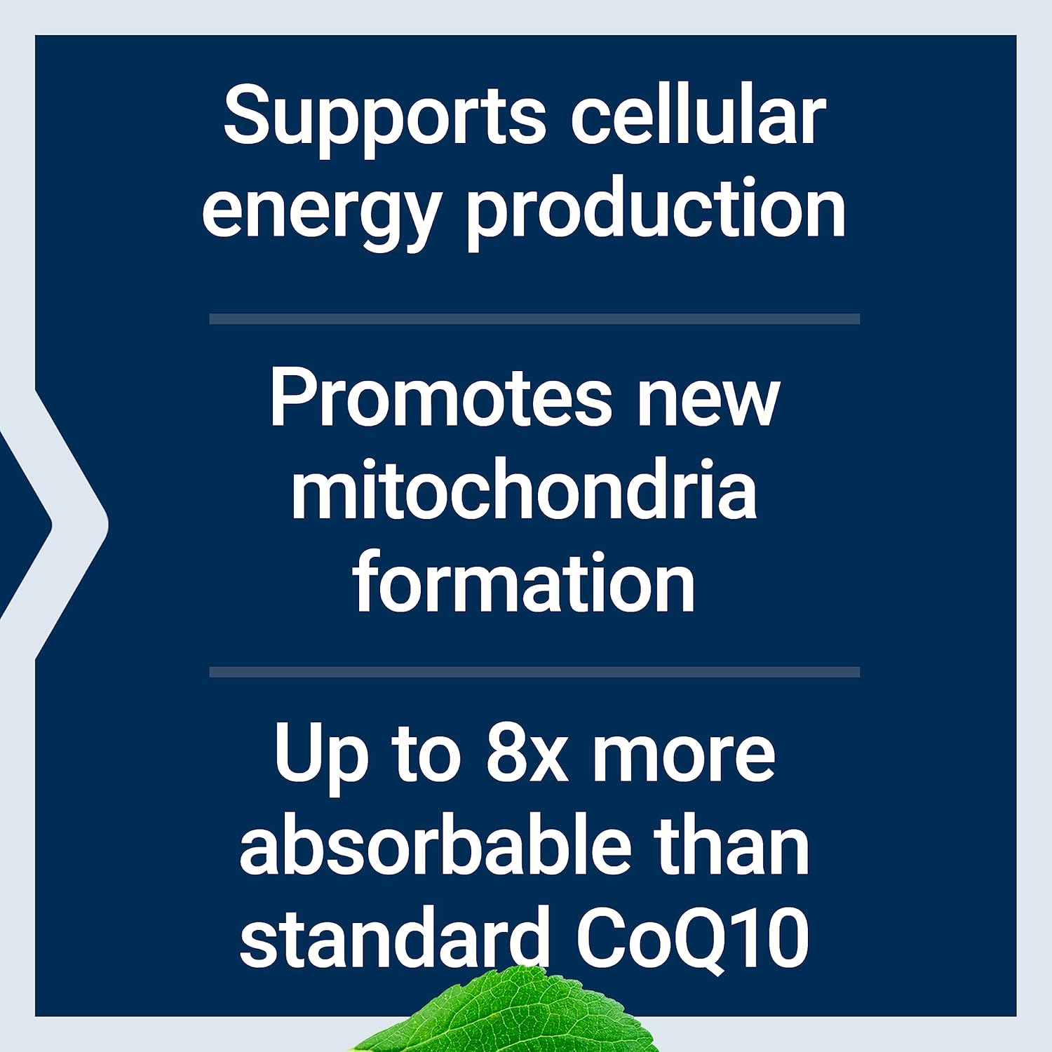 Bundle: Life Extension Super Ubiquinol CoQ10 100mg Softgels + Two-Per-Day High Potency Multivitamin