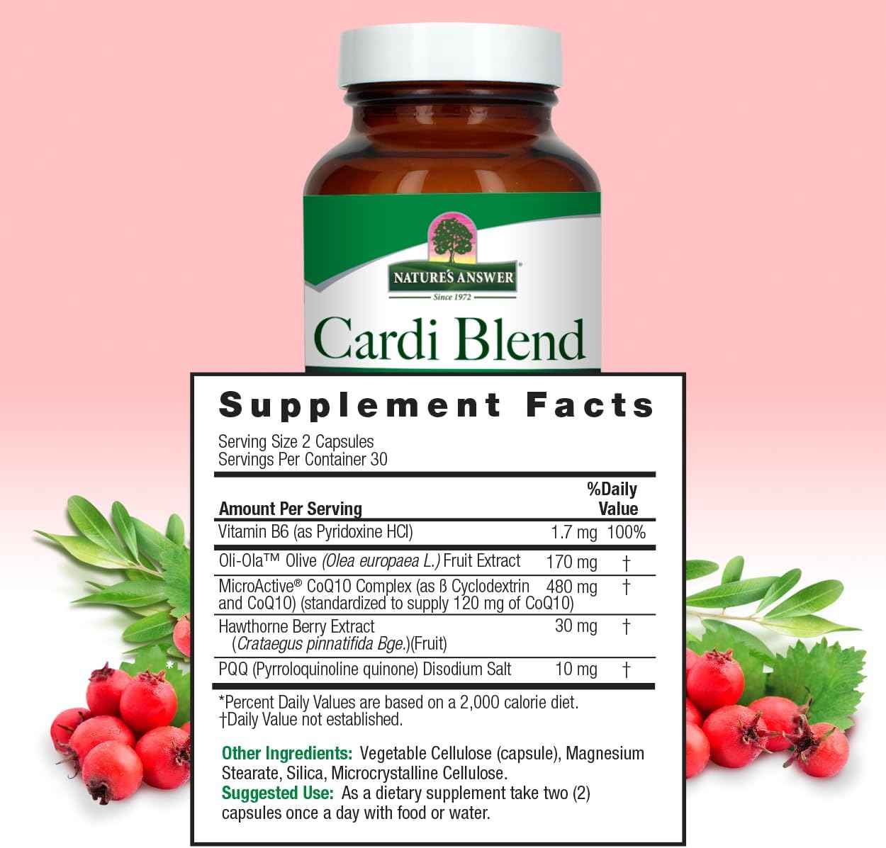 CardiMax Nature's Answer 60 VCaps