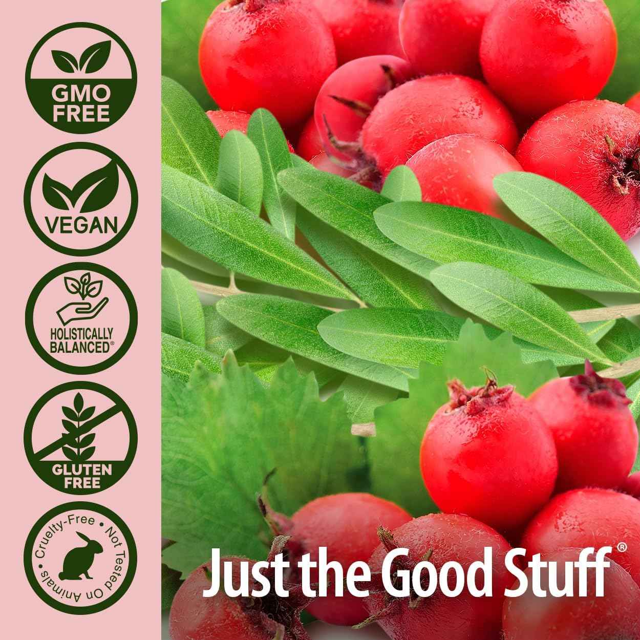 CardiMax Nature's Answer 60 VCaps