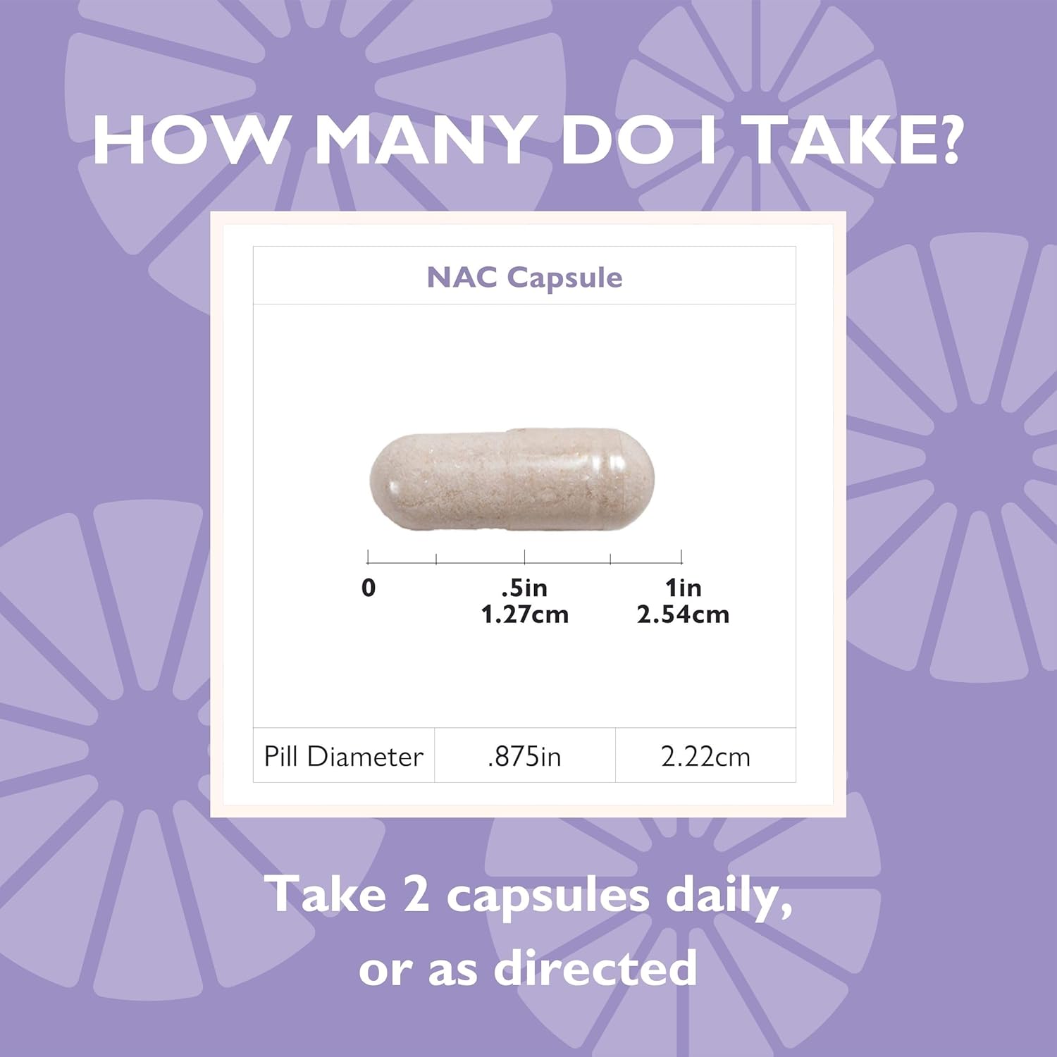 Celebrate Vitamins NAC Supplement - Gluten Free & Non-GMO - 600mg Capsules - 90 Count