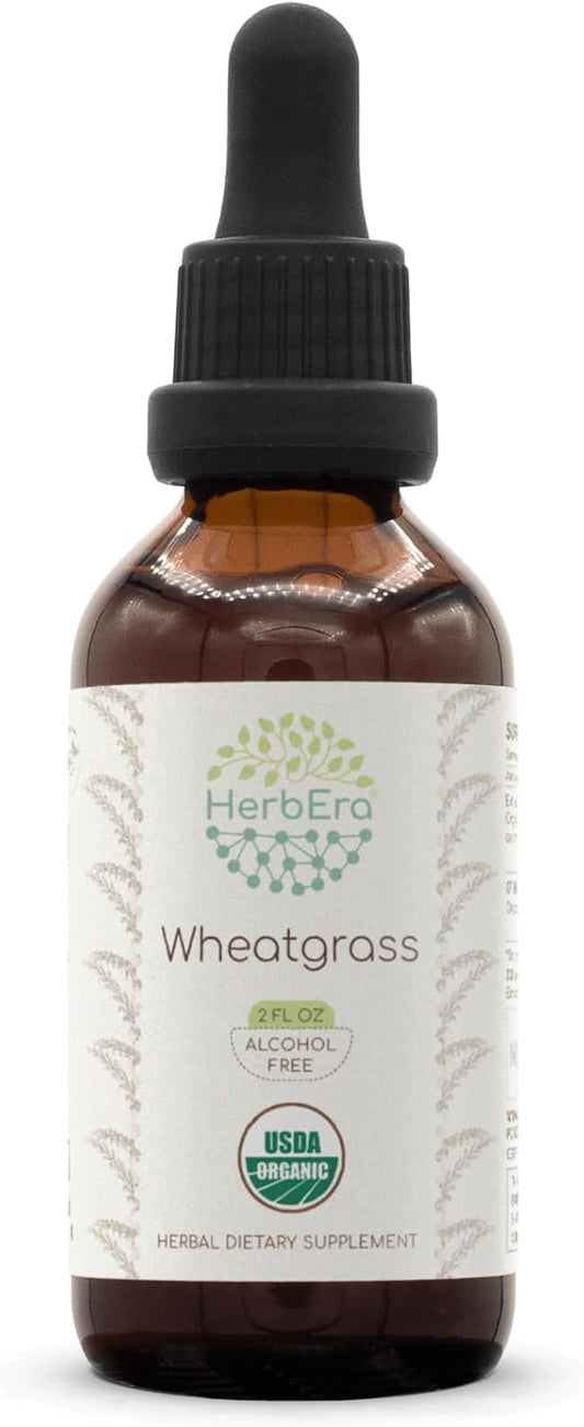 Certified Organic HerbEra Wheatgrass Tincture | Alcohol-Free High-Potency Herbal Drops, Liquid Supplement (2 oz)