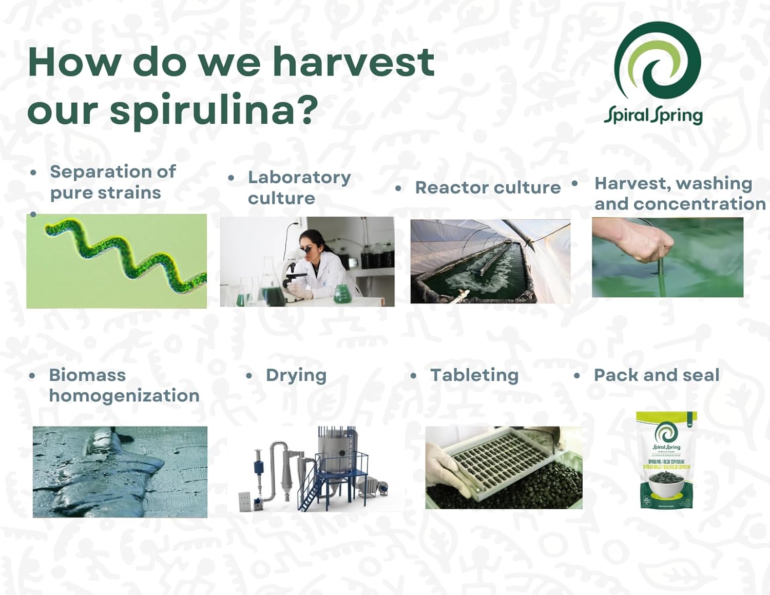 Certified Organic Spirulina Tablets with Brewer's Yeast - 200g Bag, Kosher, Gluten Free