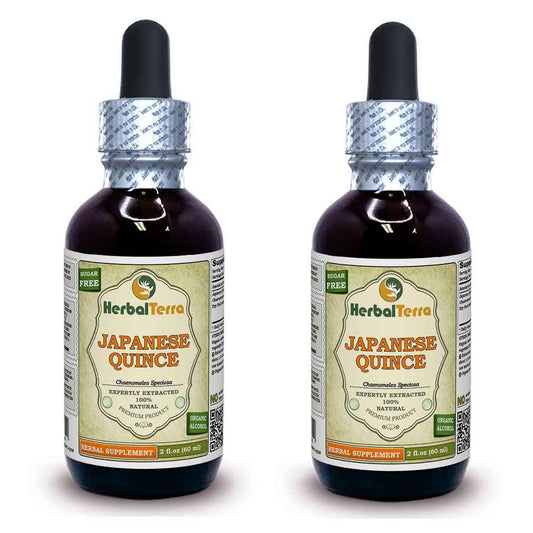 Chinese Quince (Chaenomeles Speciosa) Tincture, Dried Fruits Liquid Extract (Brand Name: HerbalTerra, Proudly Made in USA) 2x2 fl.oz (2x60 ml)