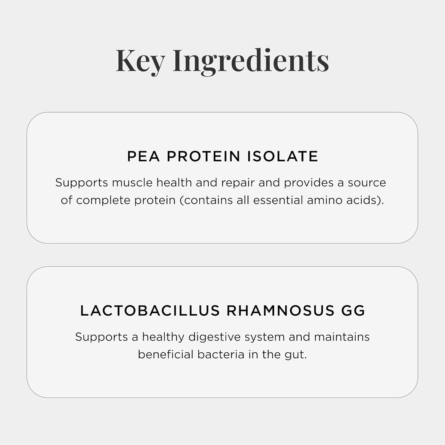 Chocolate Brownie Flavored Vegan Pea Protein Powder with Probiotics - 300g, Plant Based, Gluten Free & Non GMO