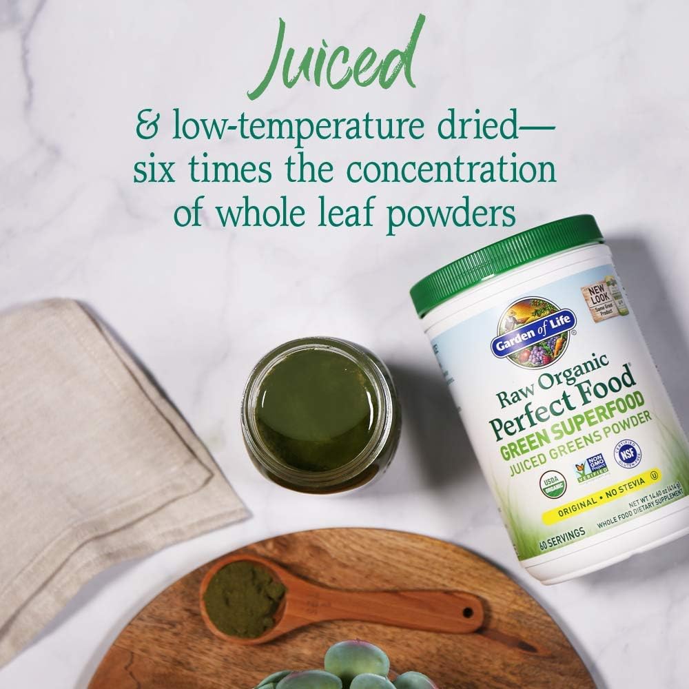 Chocolate Plant Based Vegan Protein Powder with Probiotics & Digestive Enzymes - Garden of Life Super Greens Meal Replacement Shake