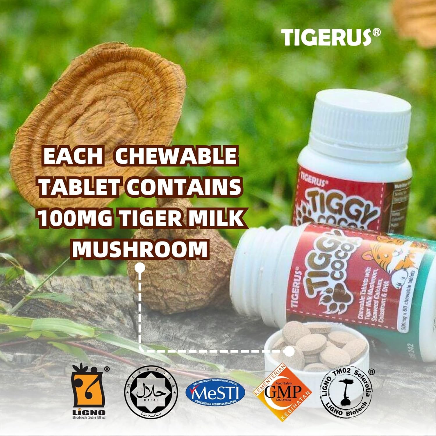 Cocoa Chewable Tablets with Tiger Milk Mushroom for Energy & Wellness - 60 Tablets for Kids & Adults