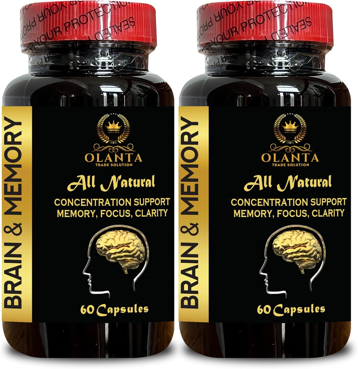 Concentrated Brain Memory Support Capsules with Ginkgo Biloba - Cognitive Enhancement Supplement for Focus and Recall - 2 Bottles 120 Capsules