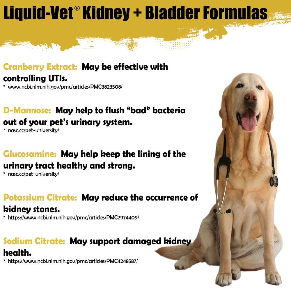 Cool PET Holistics Liquid-Vet K9 Kidney & Bladder Advanced Formula, Pot Roast Flavor, 32 oz Bottle