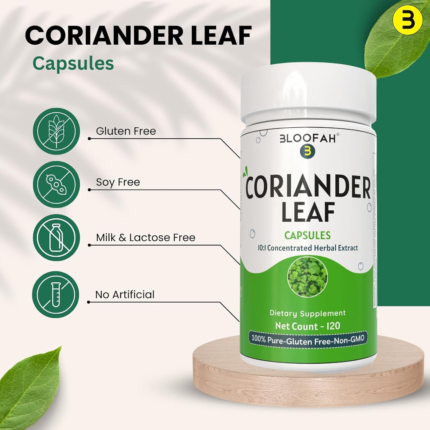 Coriander Leaf Capsules 500mg | Concentrated 10:1 Extract | Non-GMO, Gluten-Free | GMP-Certified Herbal Supplement (120 Count)
