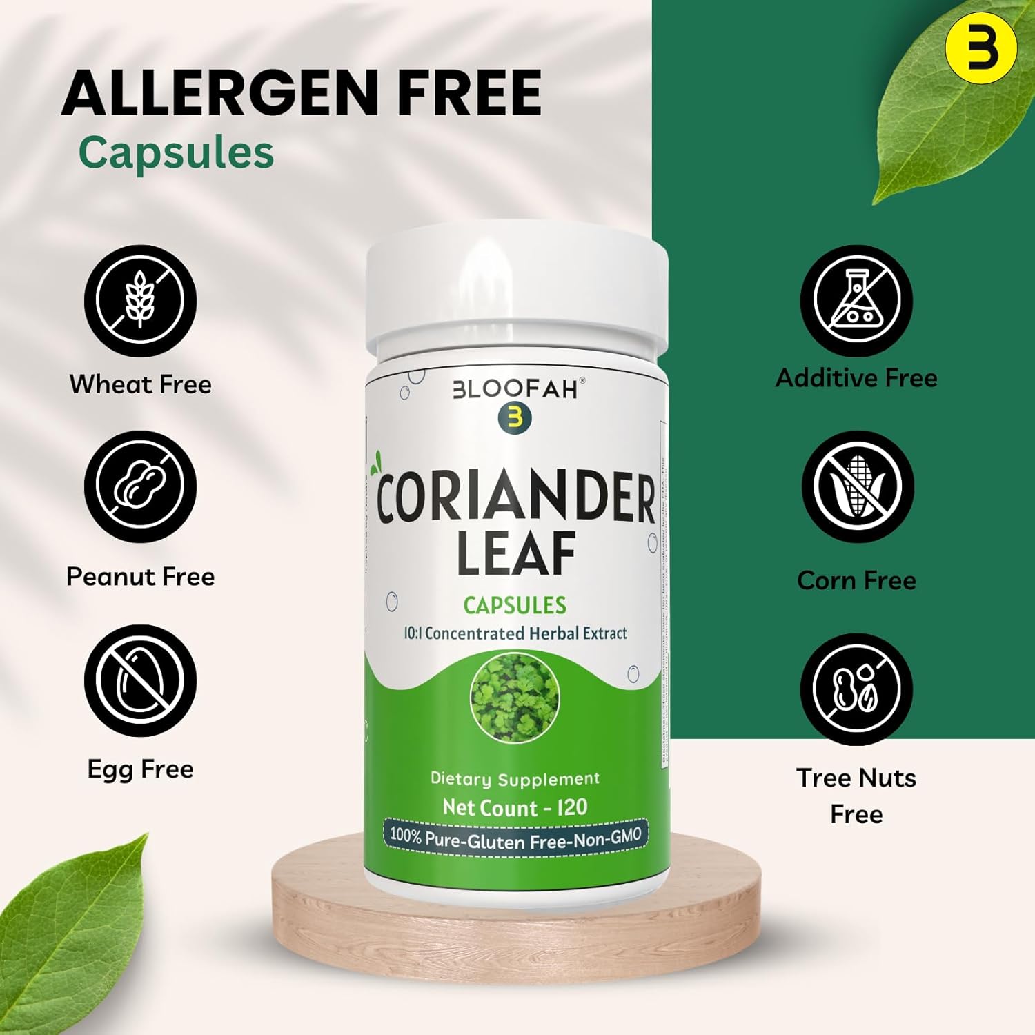 Coriander Leaf Capsules 500mg | Concentrated 10:1 Extract | Non-GMO, Gluten-Free | GMP-Certified Herbal Supplement (120 Count)