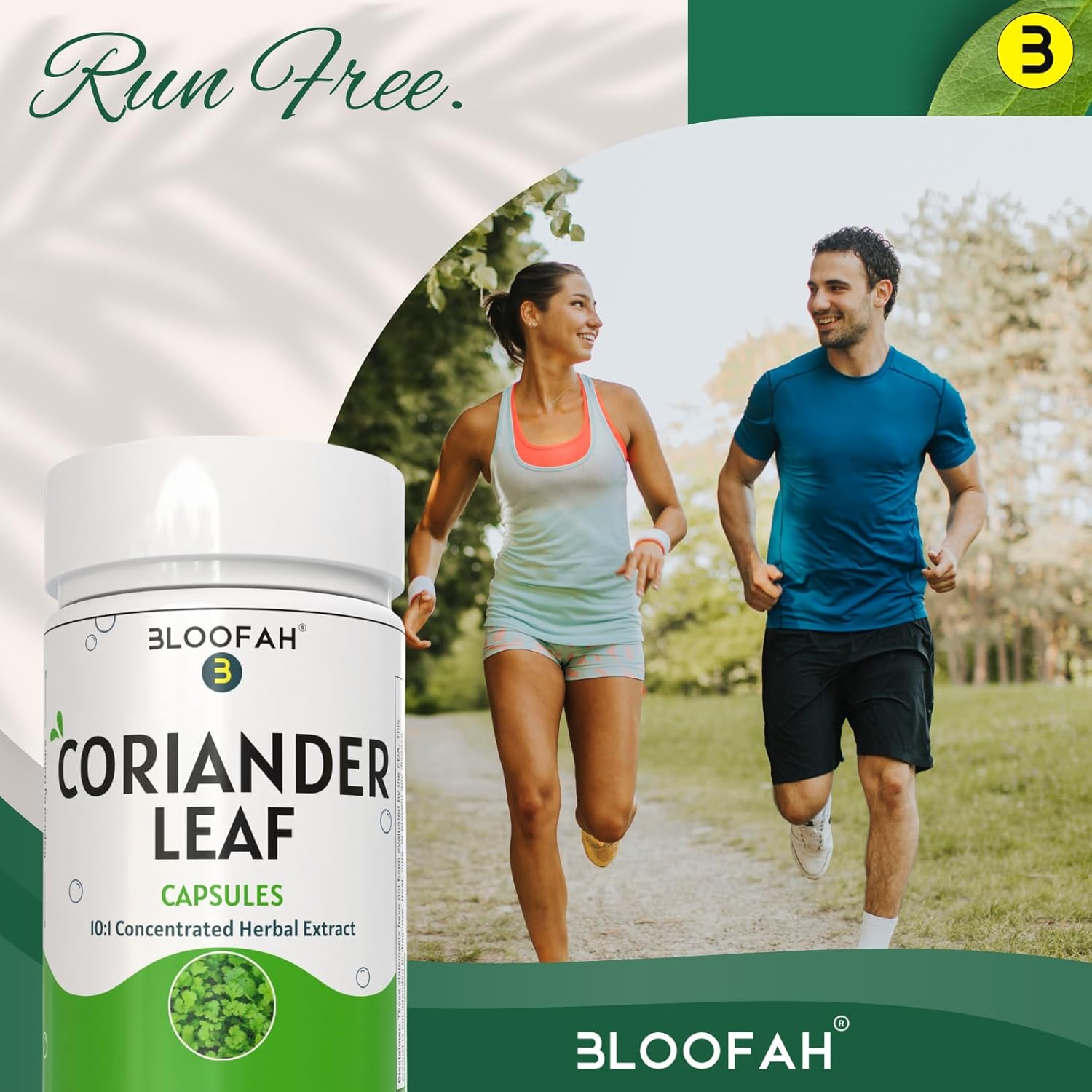 Coriander Leaf Capsules 500mg | Concentrated 10:1 Extract | Non-GMO, Gluten-Free | GMP-Certified Herbal Supplement (120 Count)