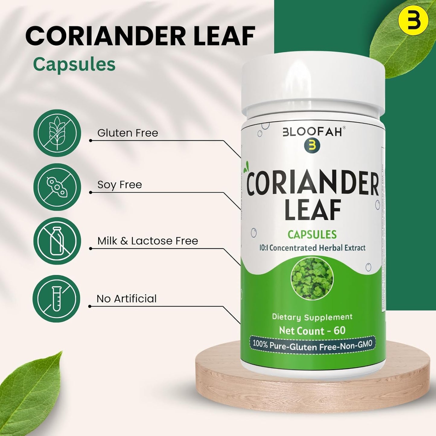 Coriander Leaf Extract Capsules 500mg | Concentrated 10:1 Formula | Premium Herbal Supplement | Non-GMO, Gluten-Free | 60 Count Pack