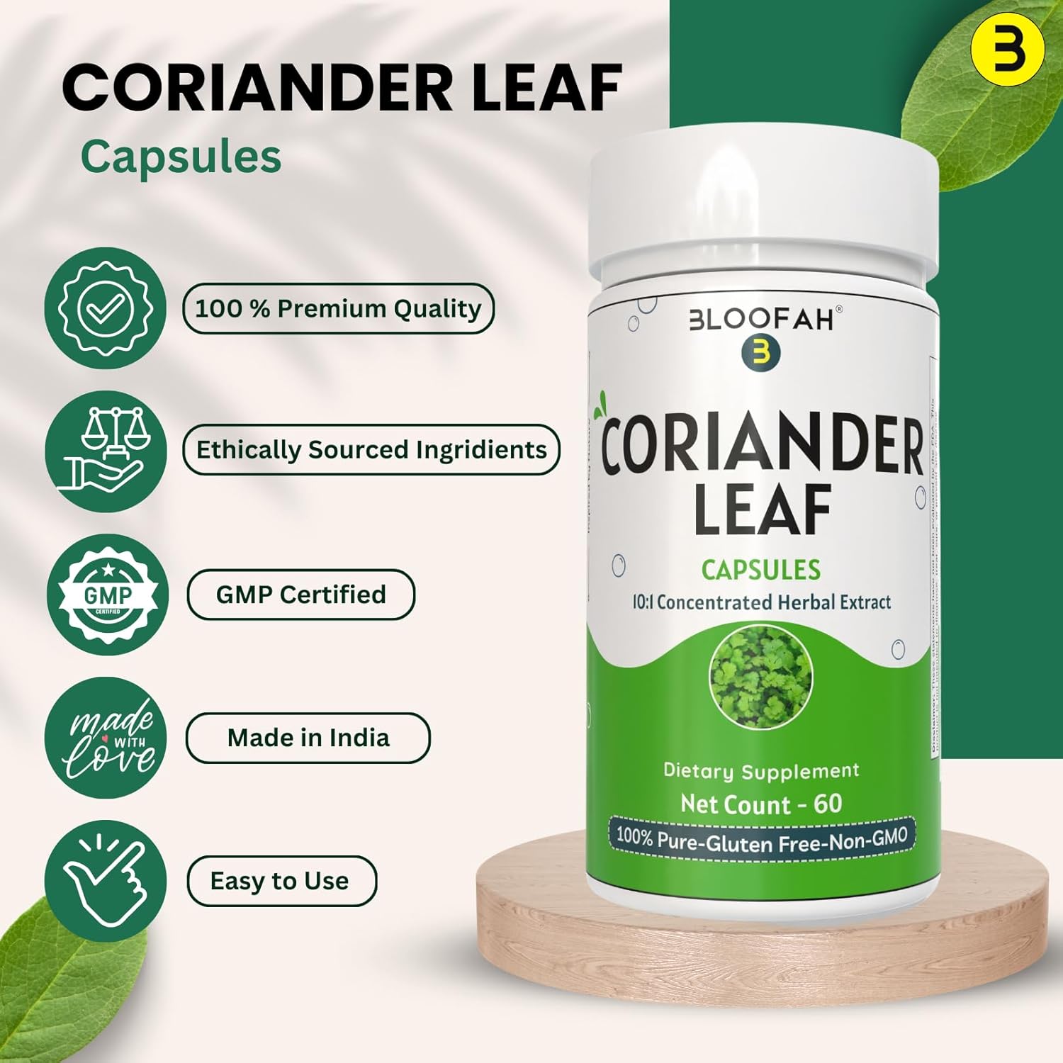 Coriander Leaf Extract Capsules 500mg | Concentrated 10:1 Formula | Premium Herbal Supplement | Non-GMO, Gluten-Free | 60 Count Pack