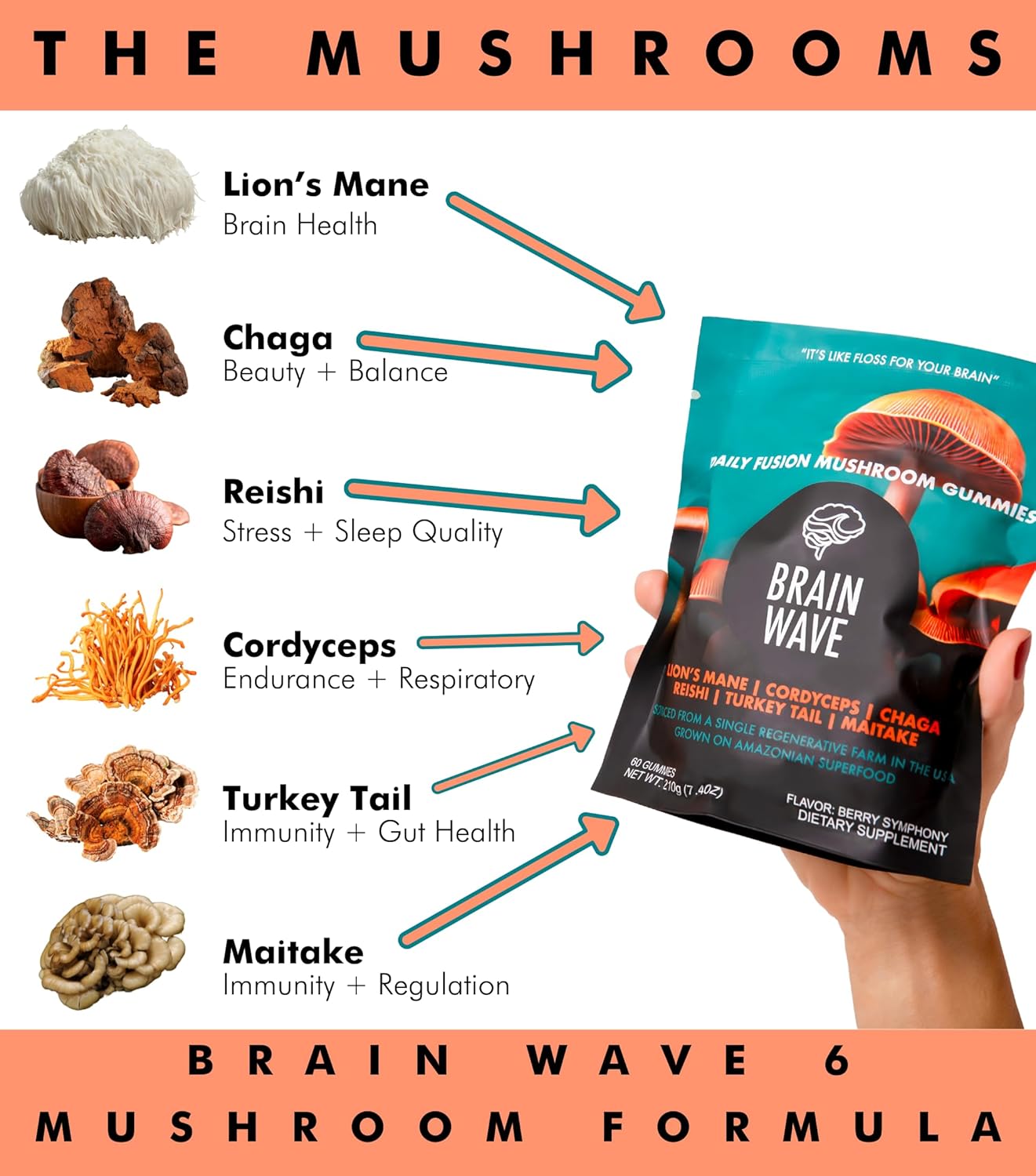 Delicious Brain Wave Superfood Mushroom Gummies for Focus and Energy - Lions Mane, Reishi, Cordyceps, Turkey Tail, Chaga, Maitake - Daily Multi Mushroom Supplement