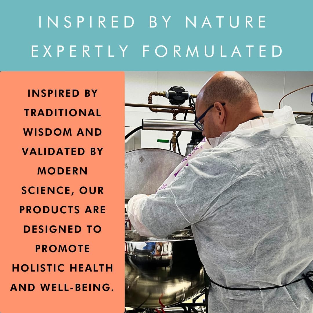 Delicious Brain Wave Superfood Mushroom Gummies for Focus and Energy - Lions Mane, Reishi, Cordyceps, Turkey Tail, Chaga, Maitake - Daily Multi Mushroom Supplement