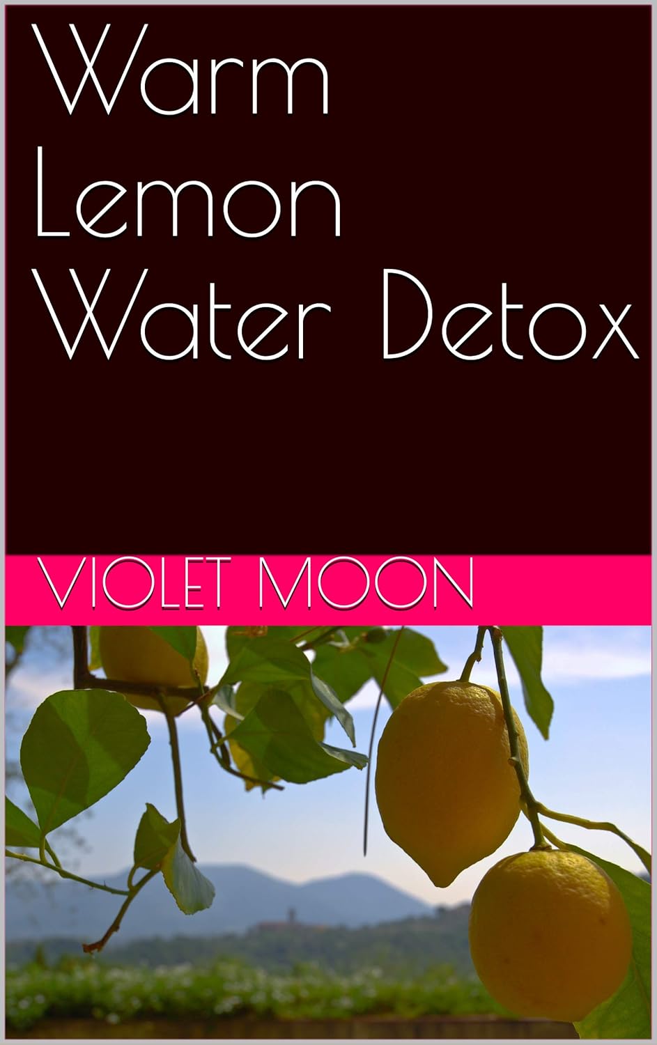 Detoxify Your Body with Warm Lemon Water