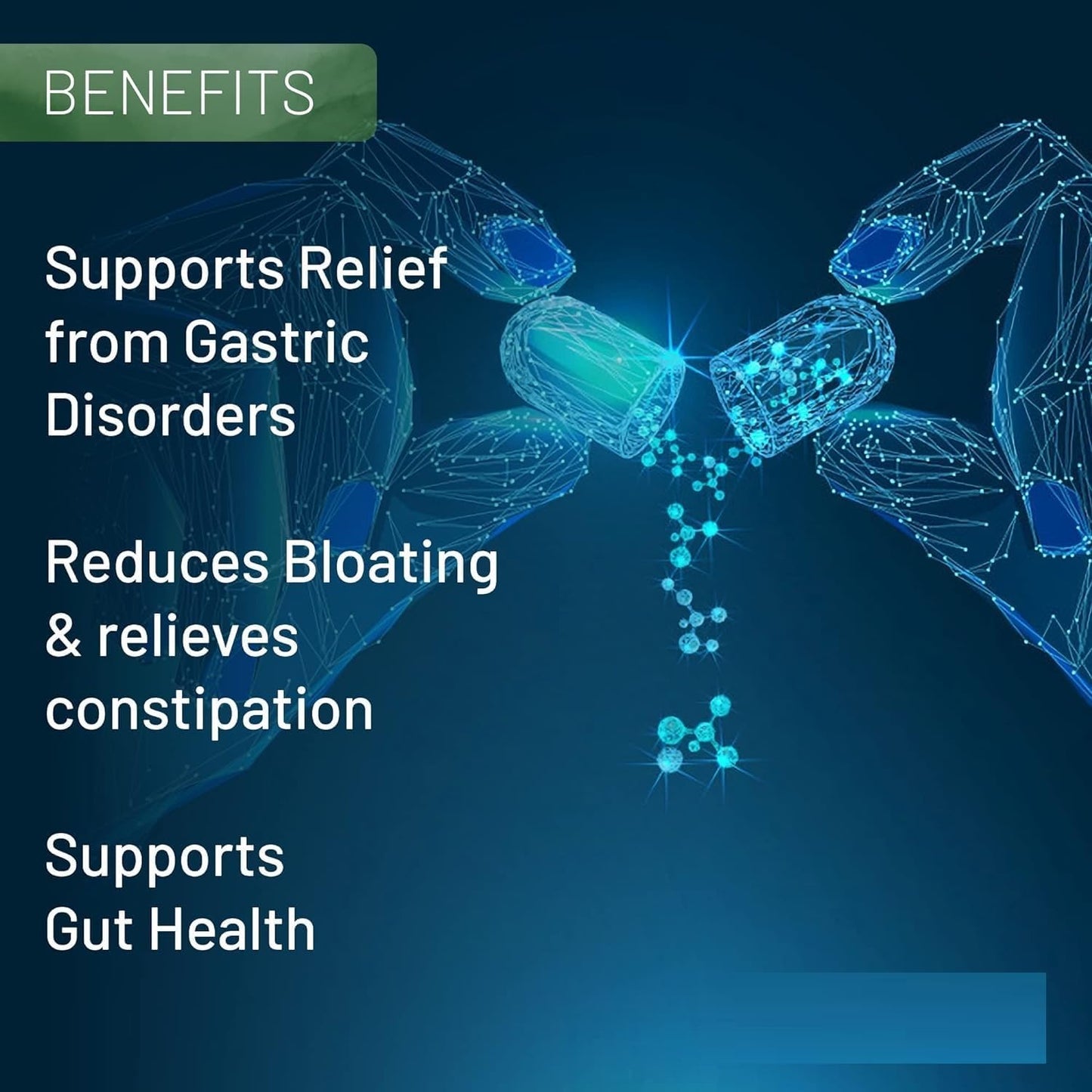 Digestive Enzyme Supplements with Betaine HCL, Pepsin, Ox-Bile, Pancreatin & L-Glutamic Acid - 60 Capsules for Gut Health