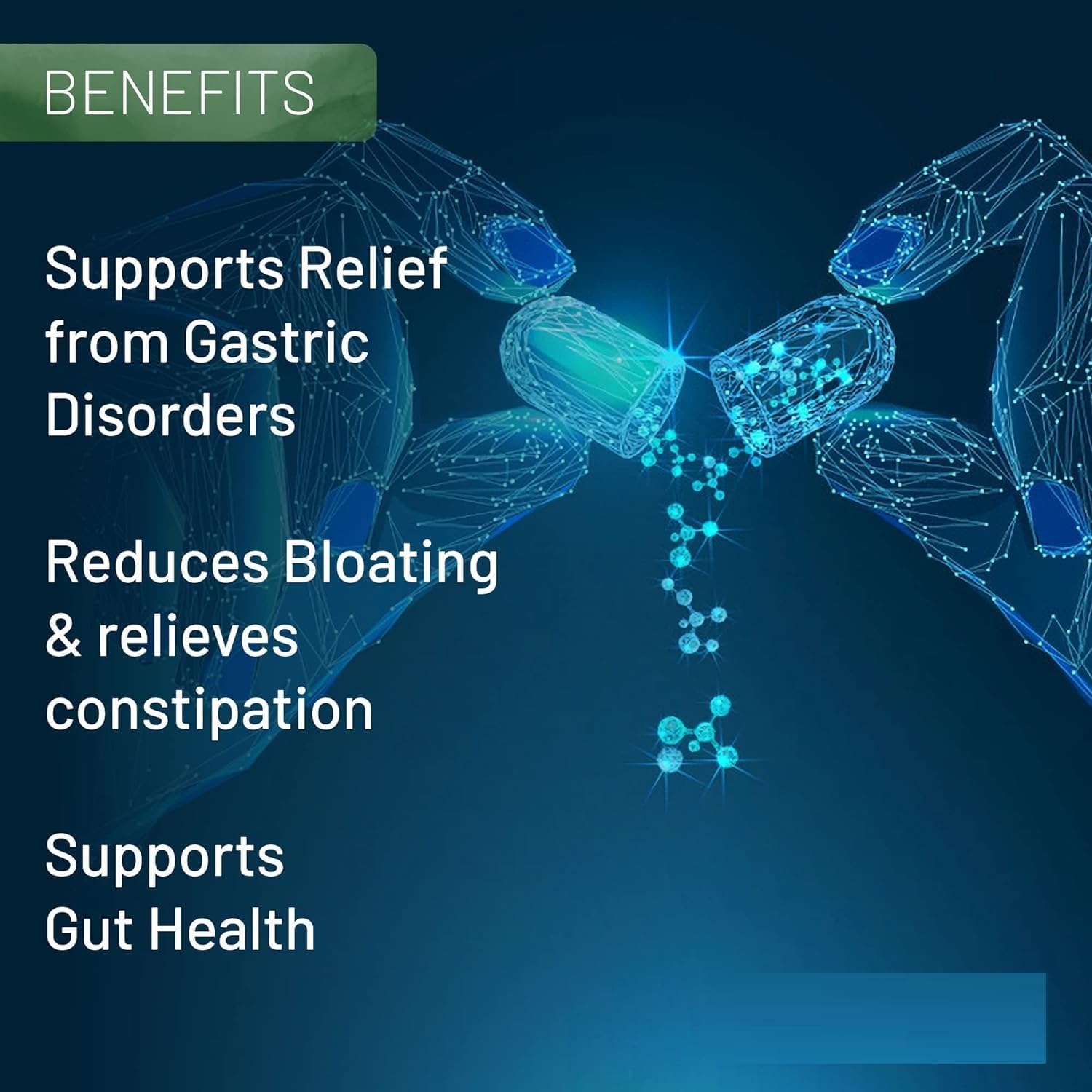 Digestive Enzyme Supplements with Betaine HCL, Pepsin, Ox-Bile, Pancreatin & L-Glutamic Acid - 60 Capsules for Gut Health
