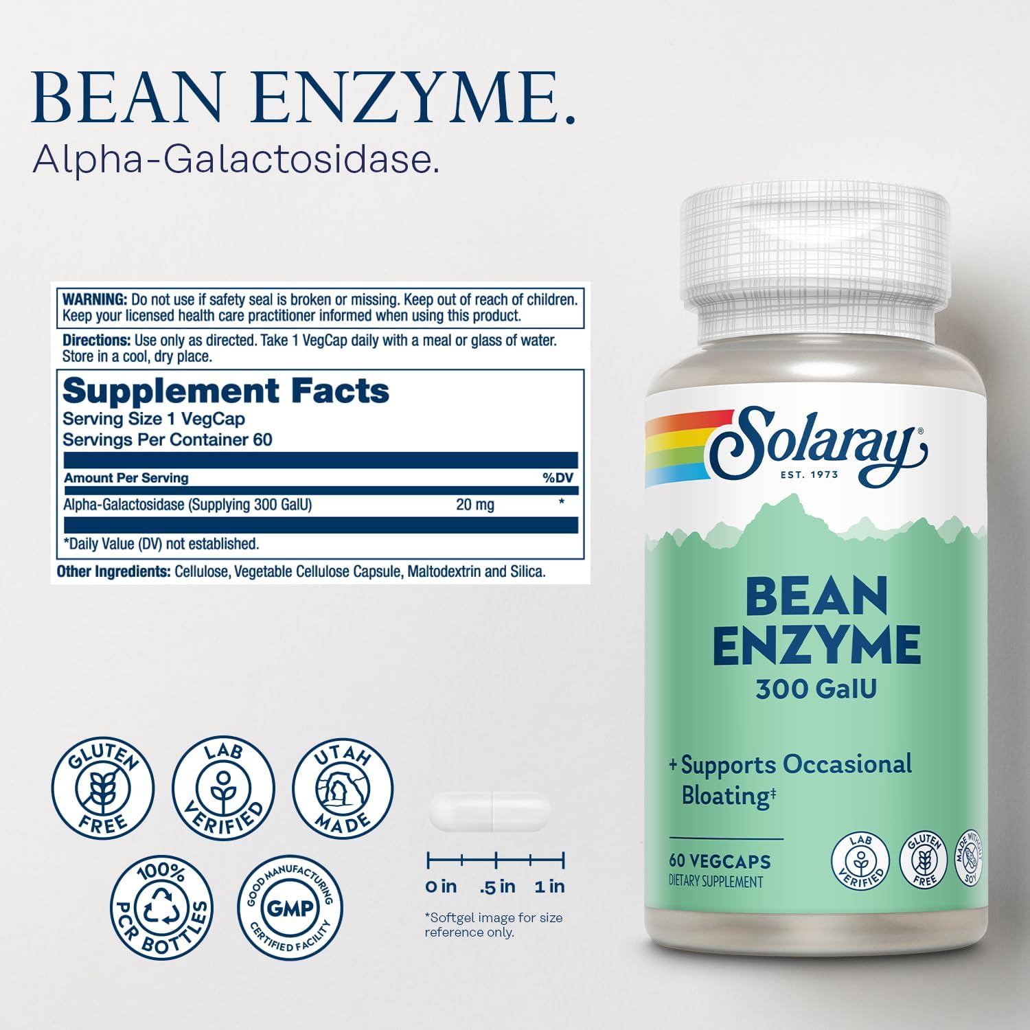 Digestive Enzymes Bundle for Digestion and Nutrient Absorption Support - Alpha Galactosidase, Papain, Ginger, Pepsin, Betaine HCl, Aloe Vera - 60/90ct