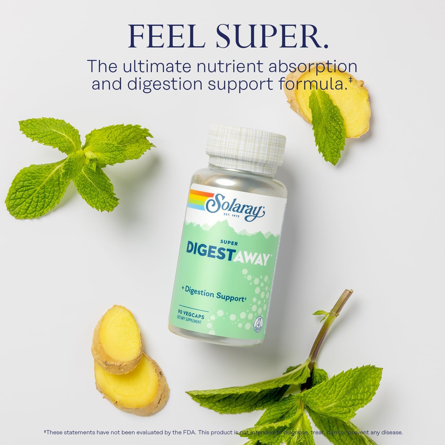Digestive Enzymes Bundle for Digestion and Nutrient Absorption Support - Alpha Galactosidase, Papain, Ginger, Pepsin, Betaine HCl, Aloe Vera - 60/90ct