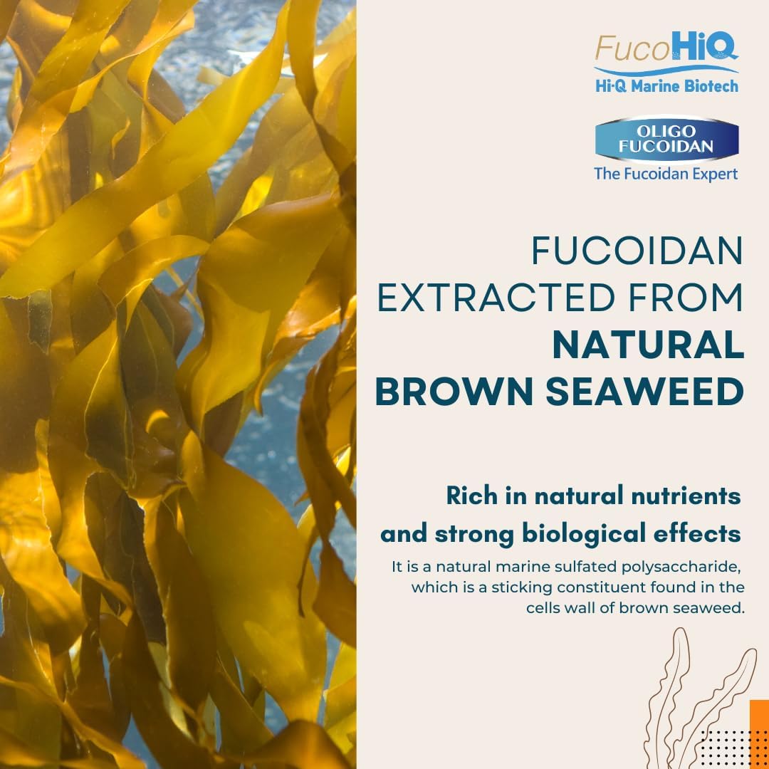 Doctor Recommended Fucohiq Oligo Fucoidan Capsules - Extra Strength Immune Support Supplement - High Purity Seaweed Extract - Vegetarian - Halal Certified - 60 Capsules