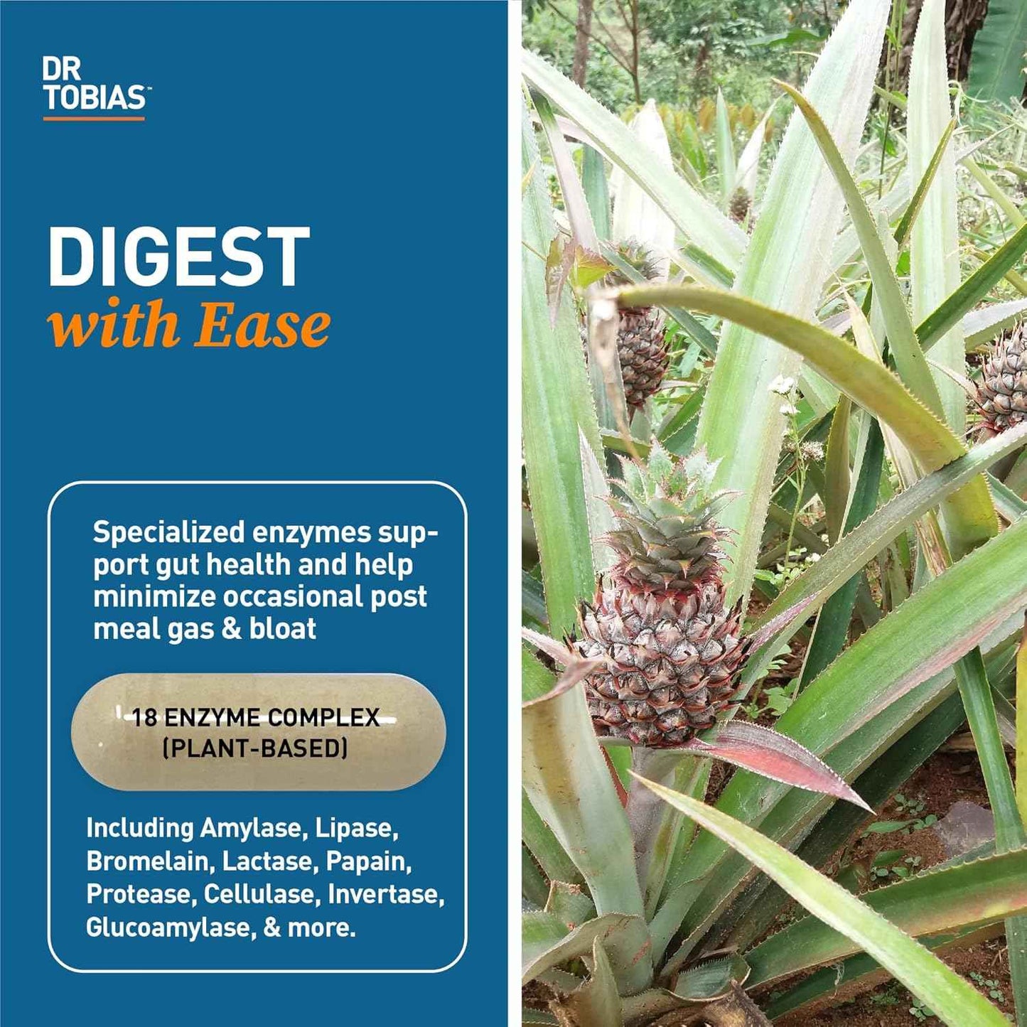 Dr. Tobias Alpha GPC & Digestive Enzymes - Support Cognitive Function & Everyday Gut Health with Bioavailable Choline Supplement & Premium Enzymes for Digestion, Non-GMO