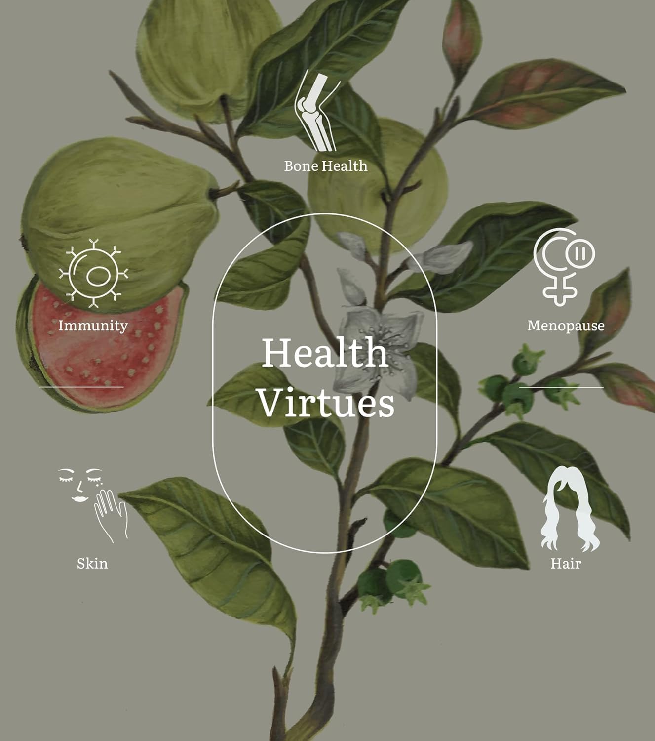 Earth.ful Multivitamin for Women Over 40: Promotes Immunity, Hormonal Balance, Skin, Hair & Bone Health - 60 Capsules