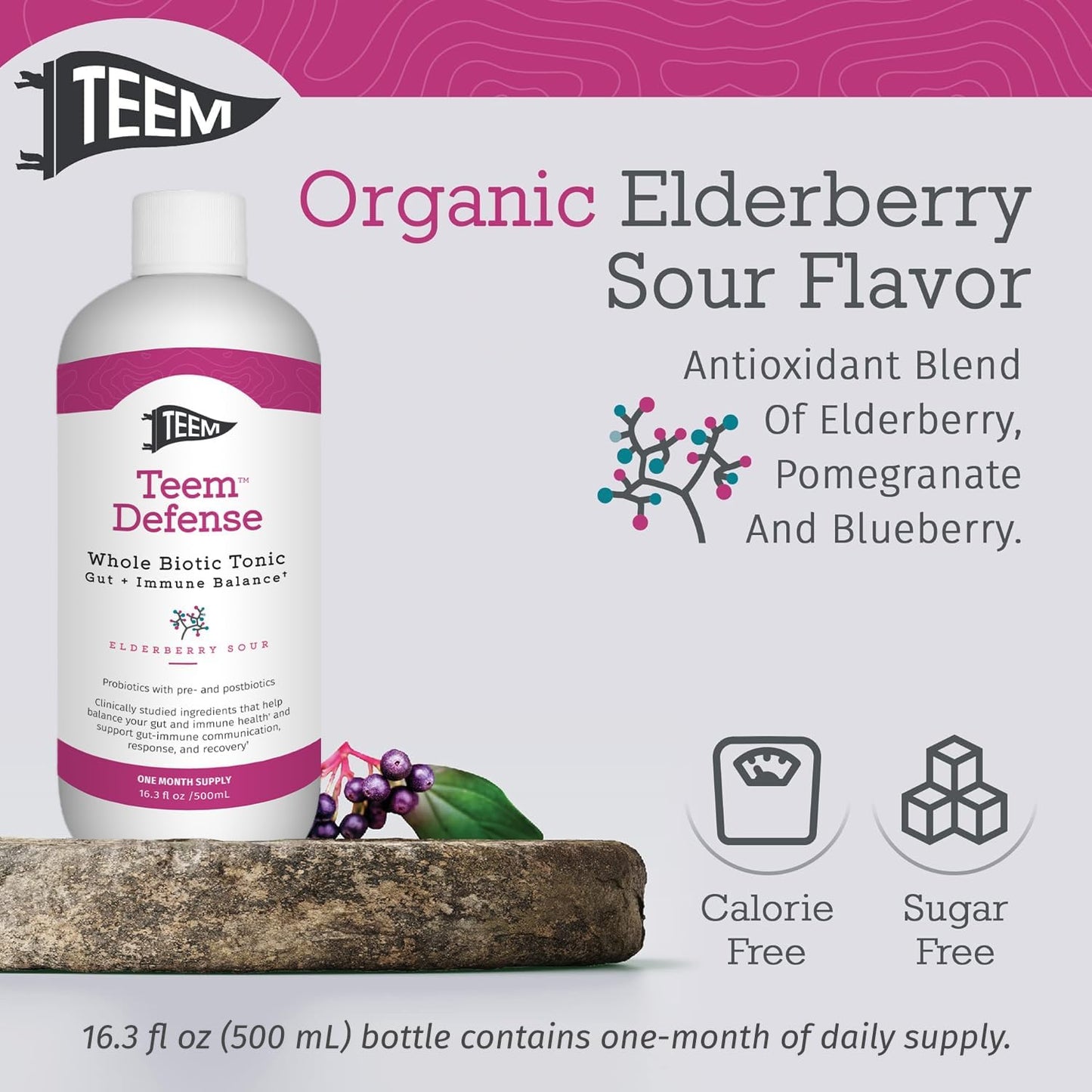 Elderberry Probiotic Tonic for Digestion & Immunity - 30 Day Supply - 16.3 Fl.Oz