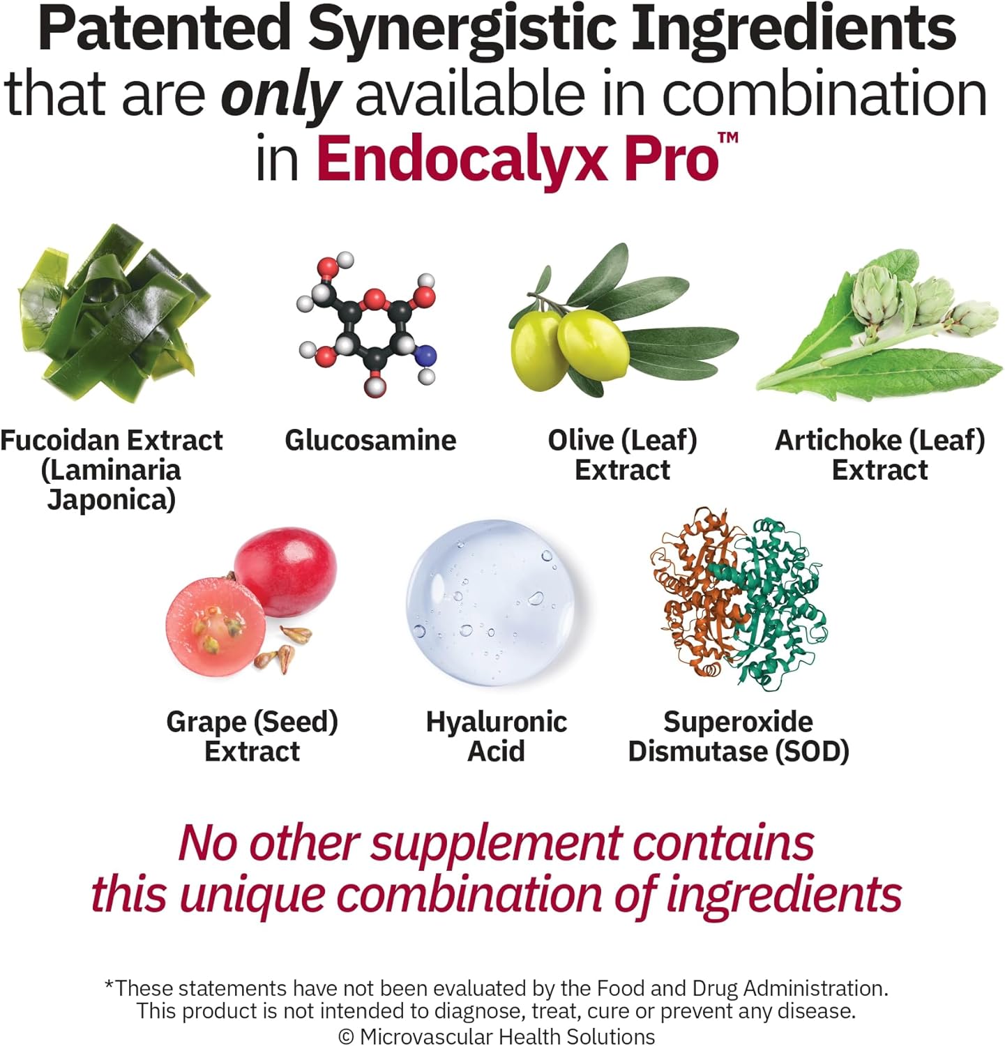 Endocalyx Pro - Vascular Support Supplement for Heart Health - 120 Capsules, Nourishes Glycocalyx & Nitric Oxide Functions