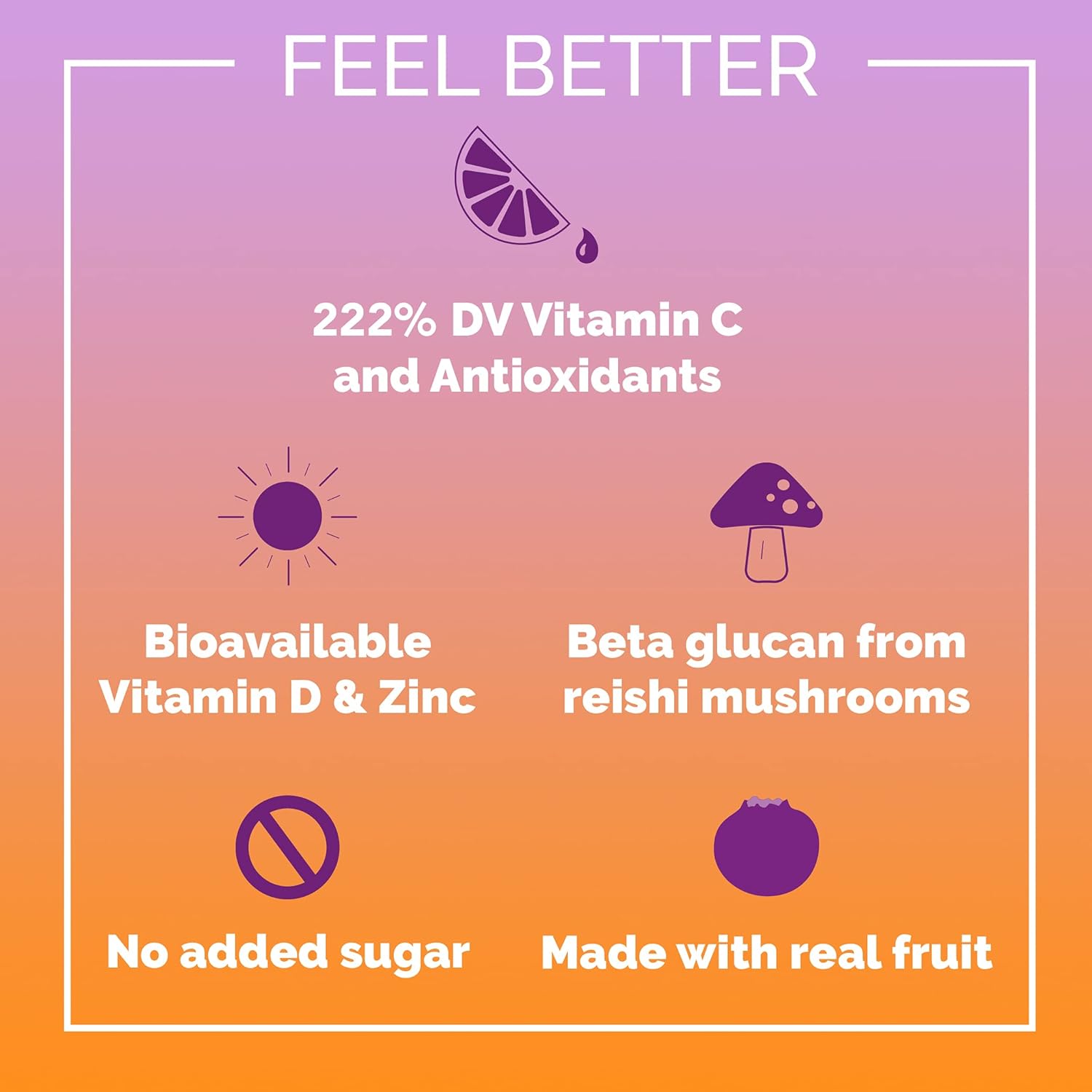 Ethan's Organic Elderberry Immune Boost Shots - 12 Pack of 2oz Shots with Vitamin C, D, Reishi, Zinc - No Added Sugar - Immunity Support made with Real Fruit