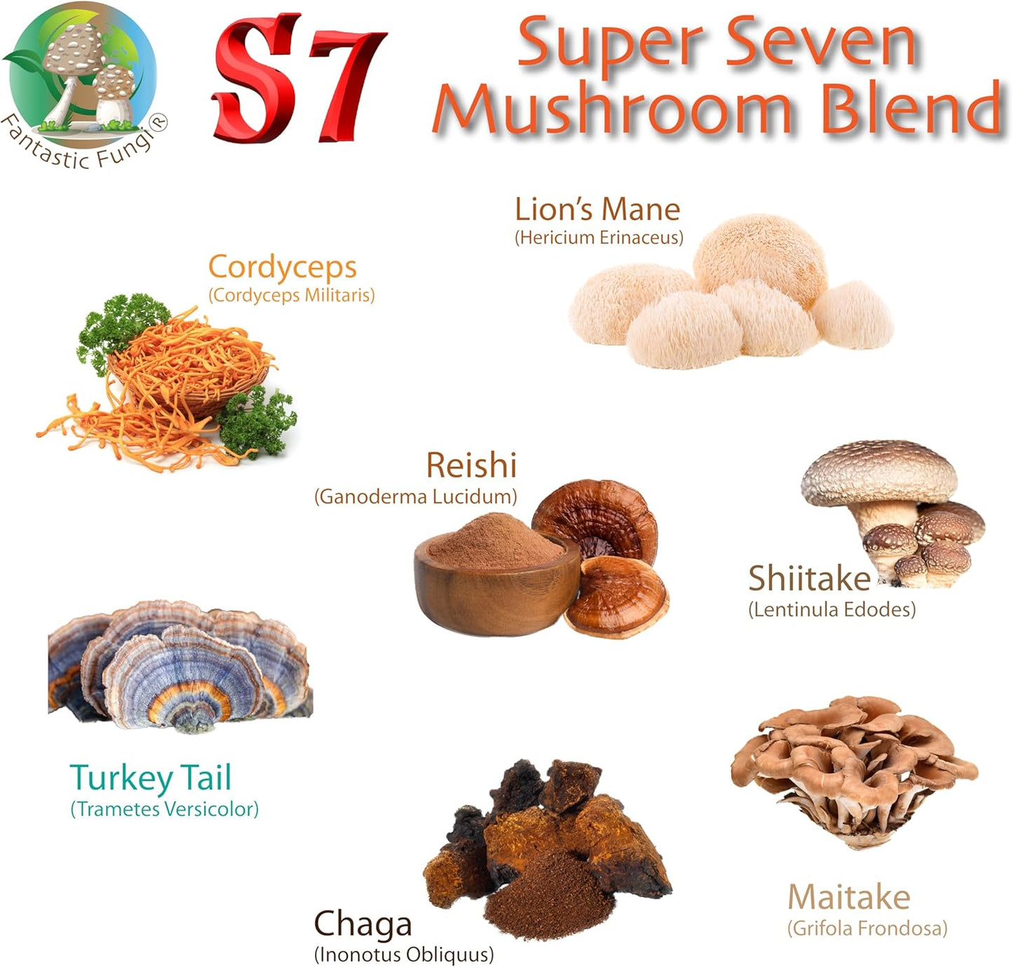 Fantastic Fungi® Super 7 Mushroom Extract Powder - Lion's Mane, Reishi, Turkey Tail, Cordyceps, Shiitake, Chaga, Maitake - 100g