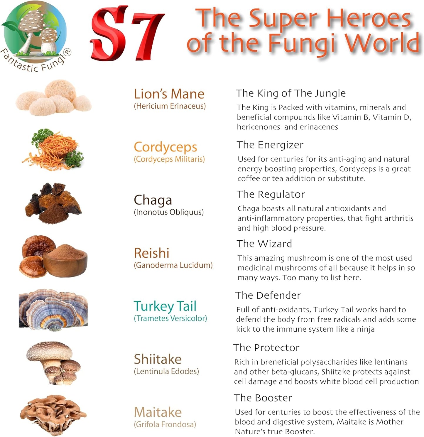 Fantastic Fungi® Super 7 Mushroom Extract Powder - Lion's Mane, Reishi, Turkey Tail, Cordyceps, Shiitake, Chaga, Maitake - 100g