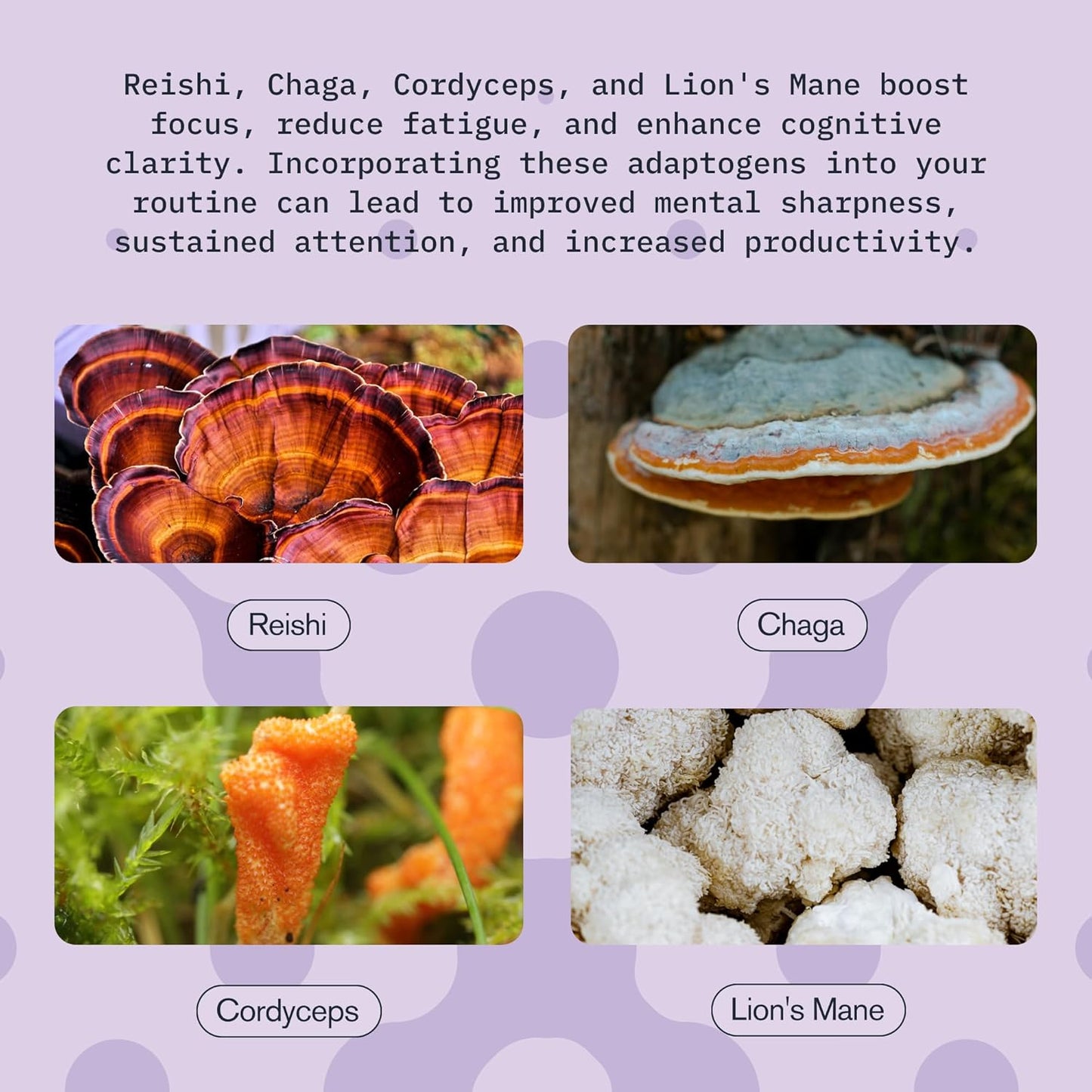 Fast-Acting Mushroom Supplement Drink for Adults, Vitality Blend with Cordyceps, Reishi, Chaga, Lion’s Mane, Ashwagandha, Chai Spice Flavor, 2 fl oz (3 Pack)