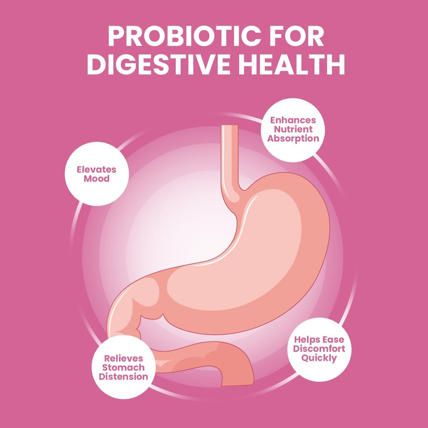 FemiPro Bladder Support Supplement - 24 Hour Probiotic Urinary Control Pills for Bladder Health - 300 Capsules