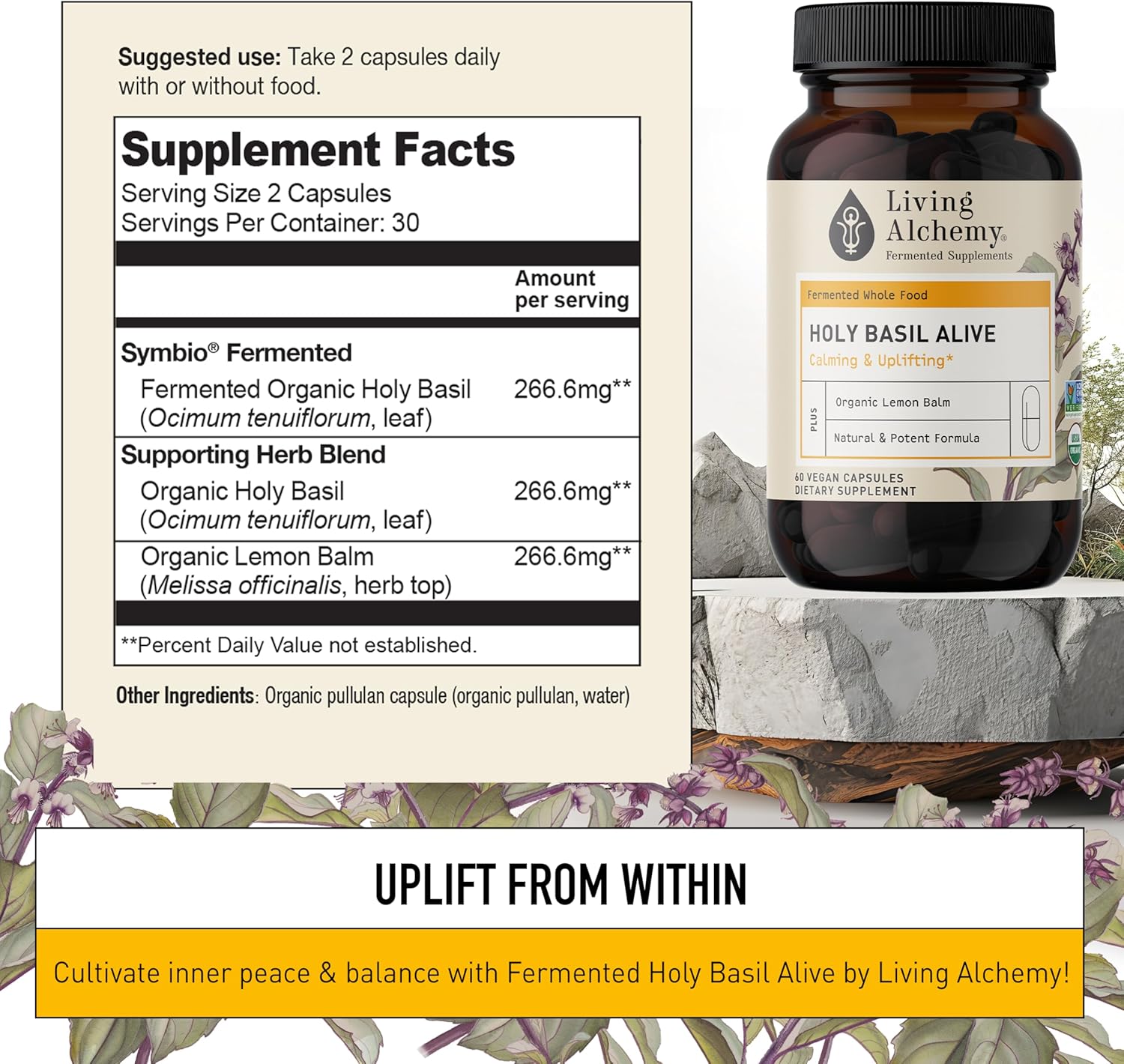 Fermented Holy Basil & Lemon Balm Mood Sleep Aid Supplement for Women & Men - Vegan Non-GMO - Living Alchemy 60 Capsules