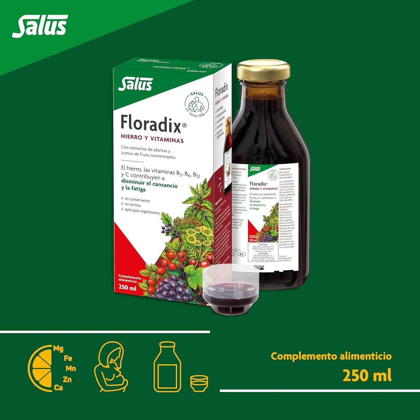 Floradix Liquid Iron and Vitamin Formula 250ml