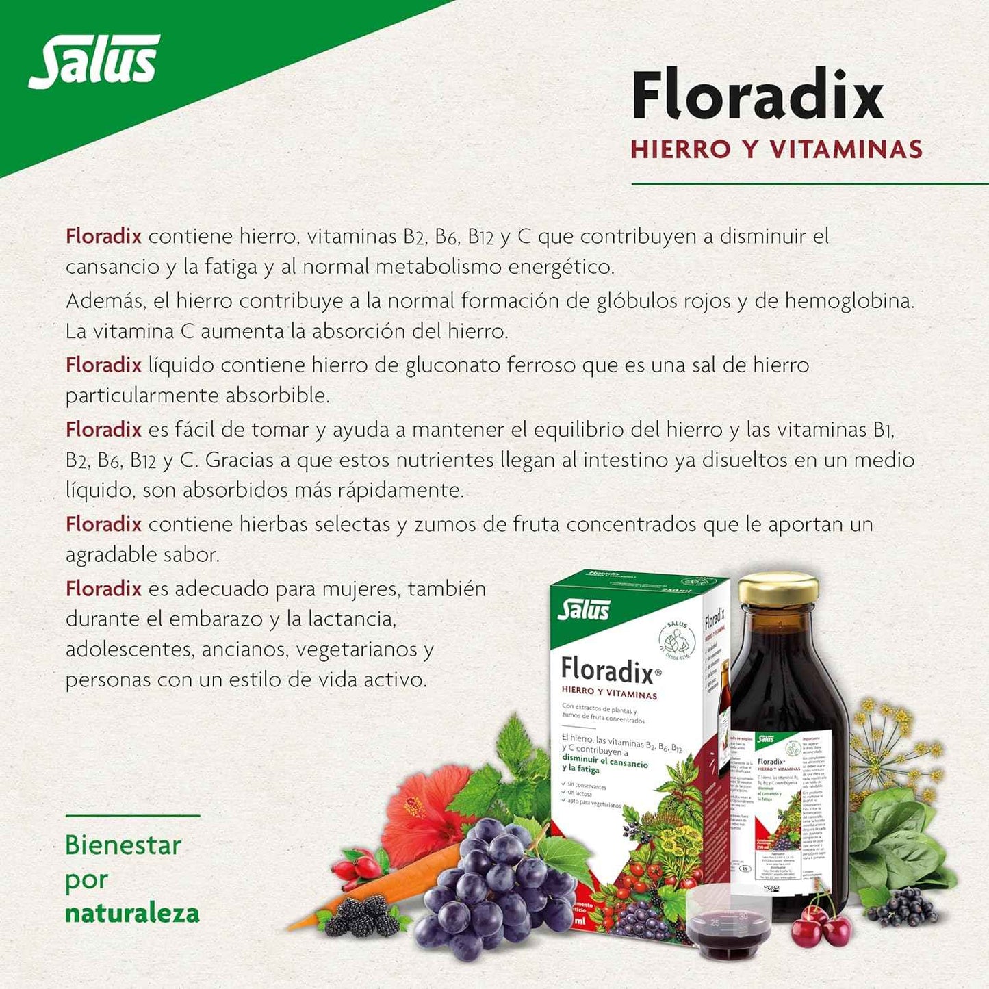 Floradix Liquid Iron and Vitamin Formula 250ml