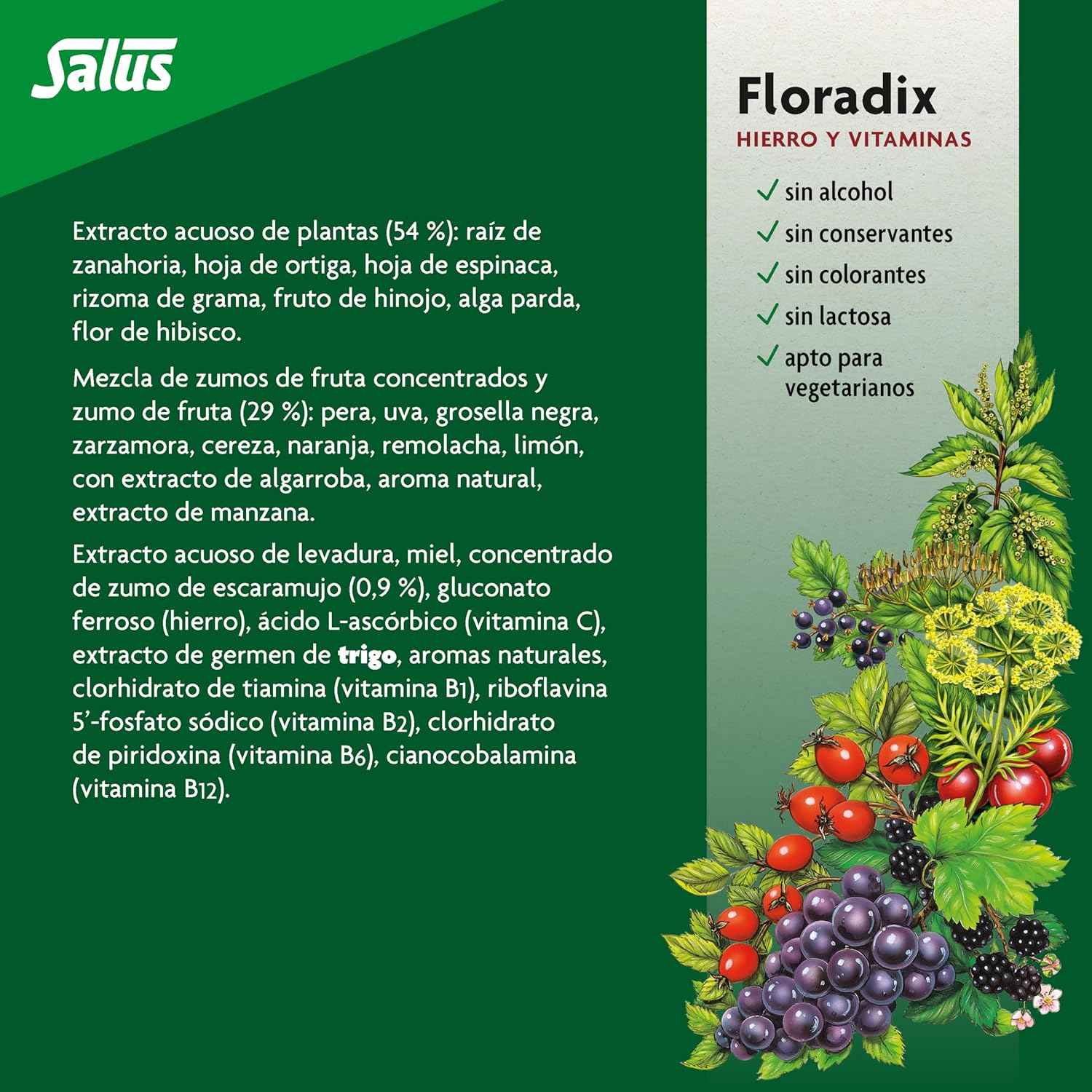 Floradix Liquid Iron and Vitamin Formula 250ml