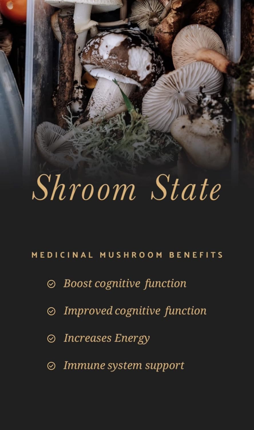Flowstate Lifestyles Mushroom 10X Nootropic Blend with Lions Mane, Shiitake, Reishi, Cordyceps, Turkey Tail, Chaga - Boosts Brain Focus and Energy Support